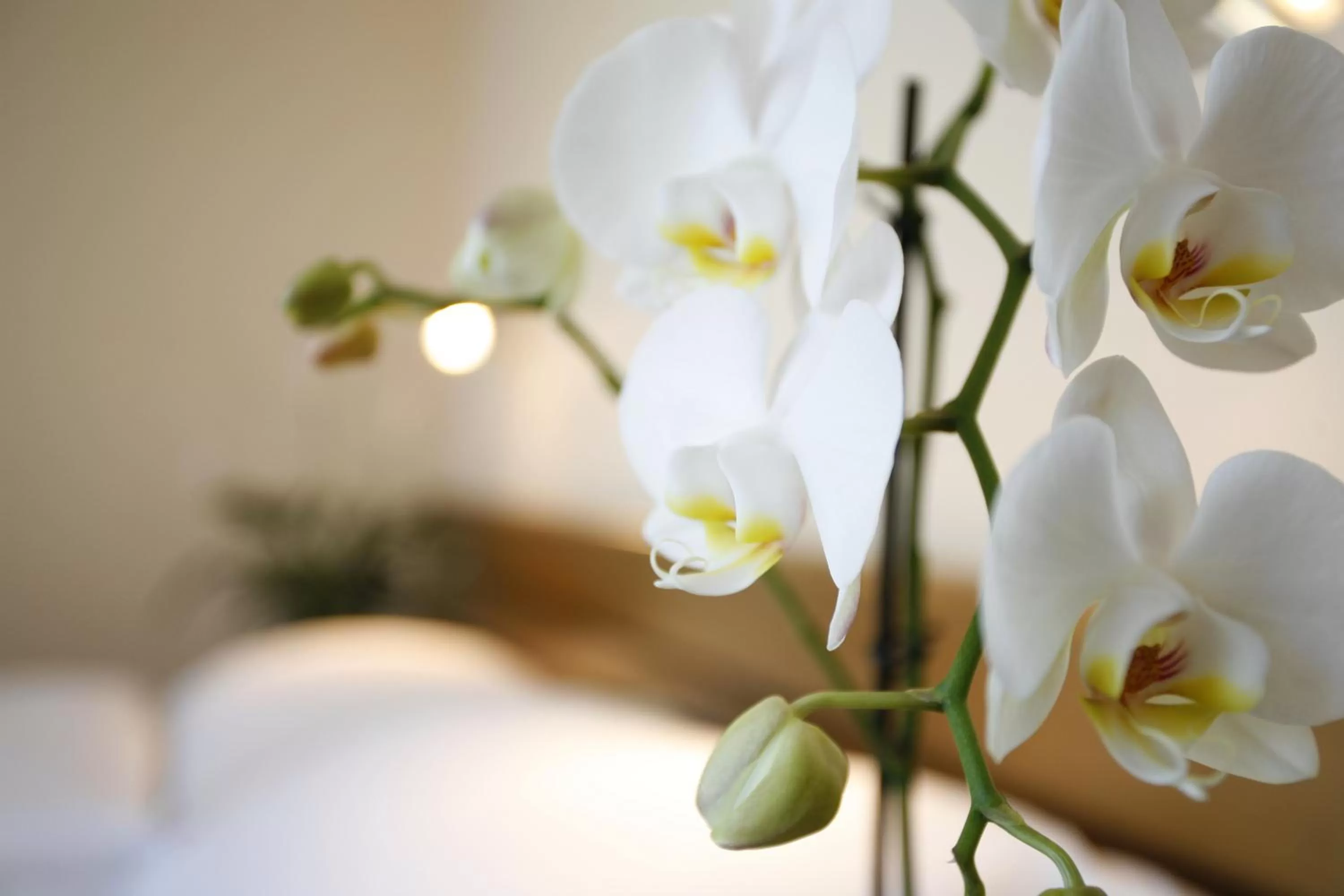 Standard Double Room in Ambassador Self Check-in Hotel