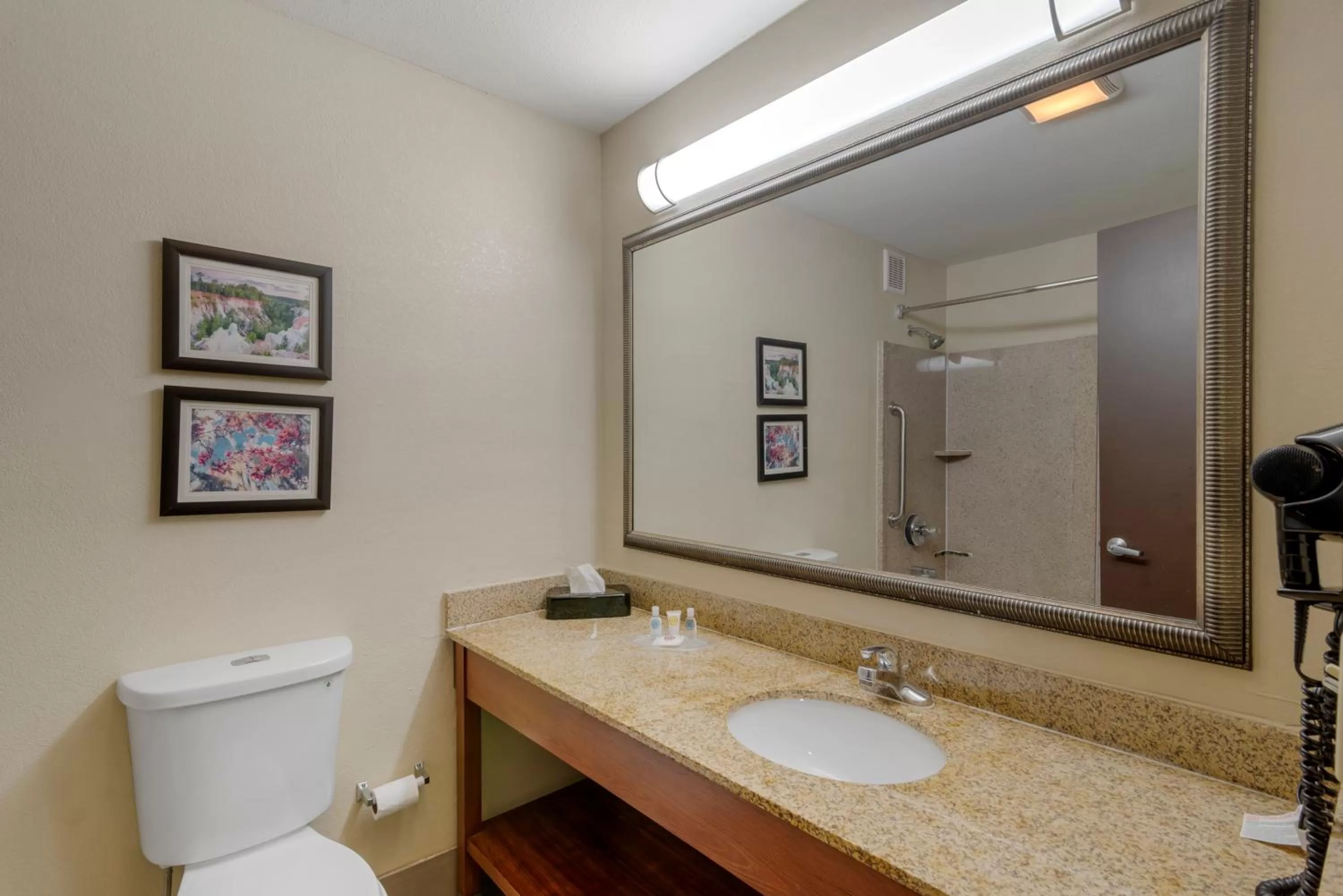 King Suite - Non-Smoking in Comfort Suites Columbus State University Area