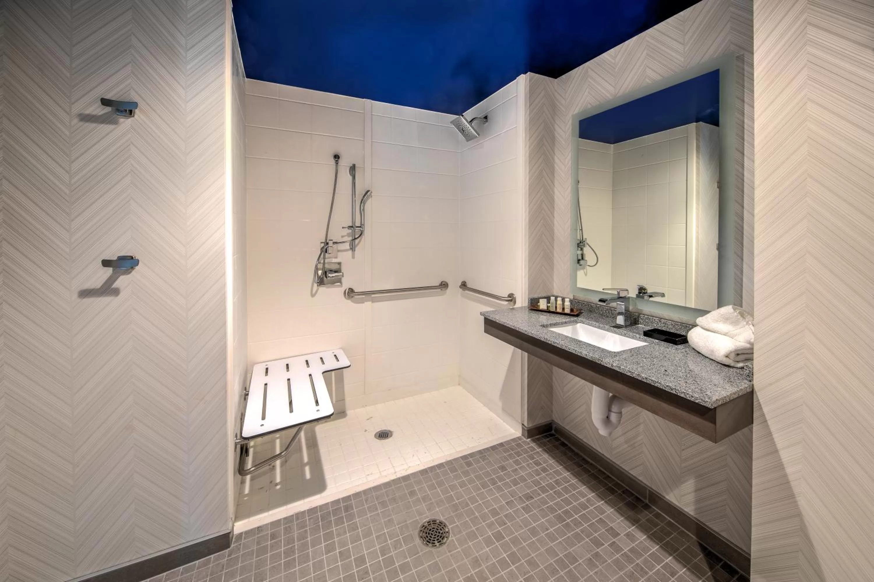 King Suite with Roll-In Shower - Disability Access/Non-Smoking in Hotel Indigo Pittsburgh University - Oakland by IHG