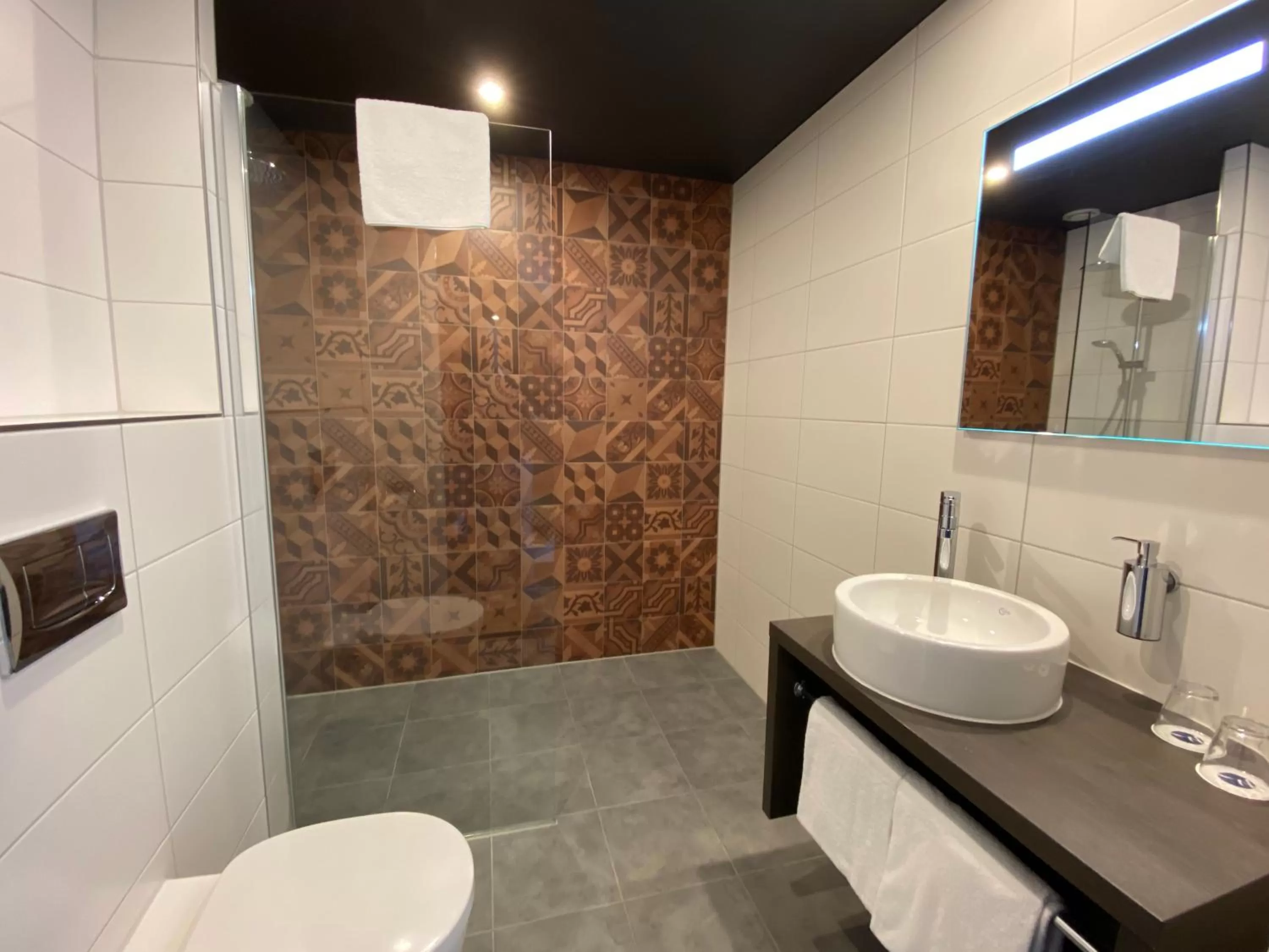 Deluxe Double Room in Fletcher Hotel-Restaurant ByZoo Emmen