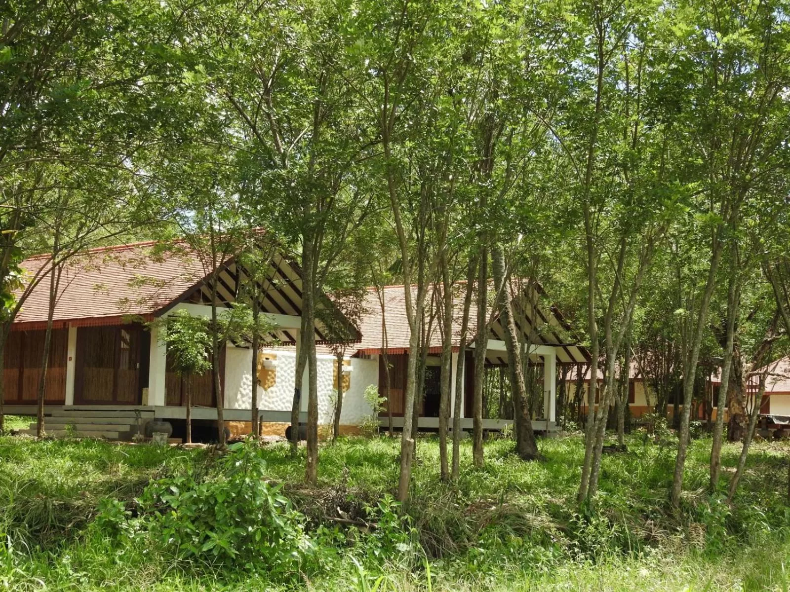 Wel Vidana – Forest View in Jetwing Kaduruketha