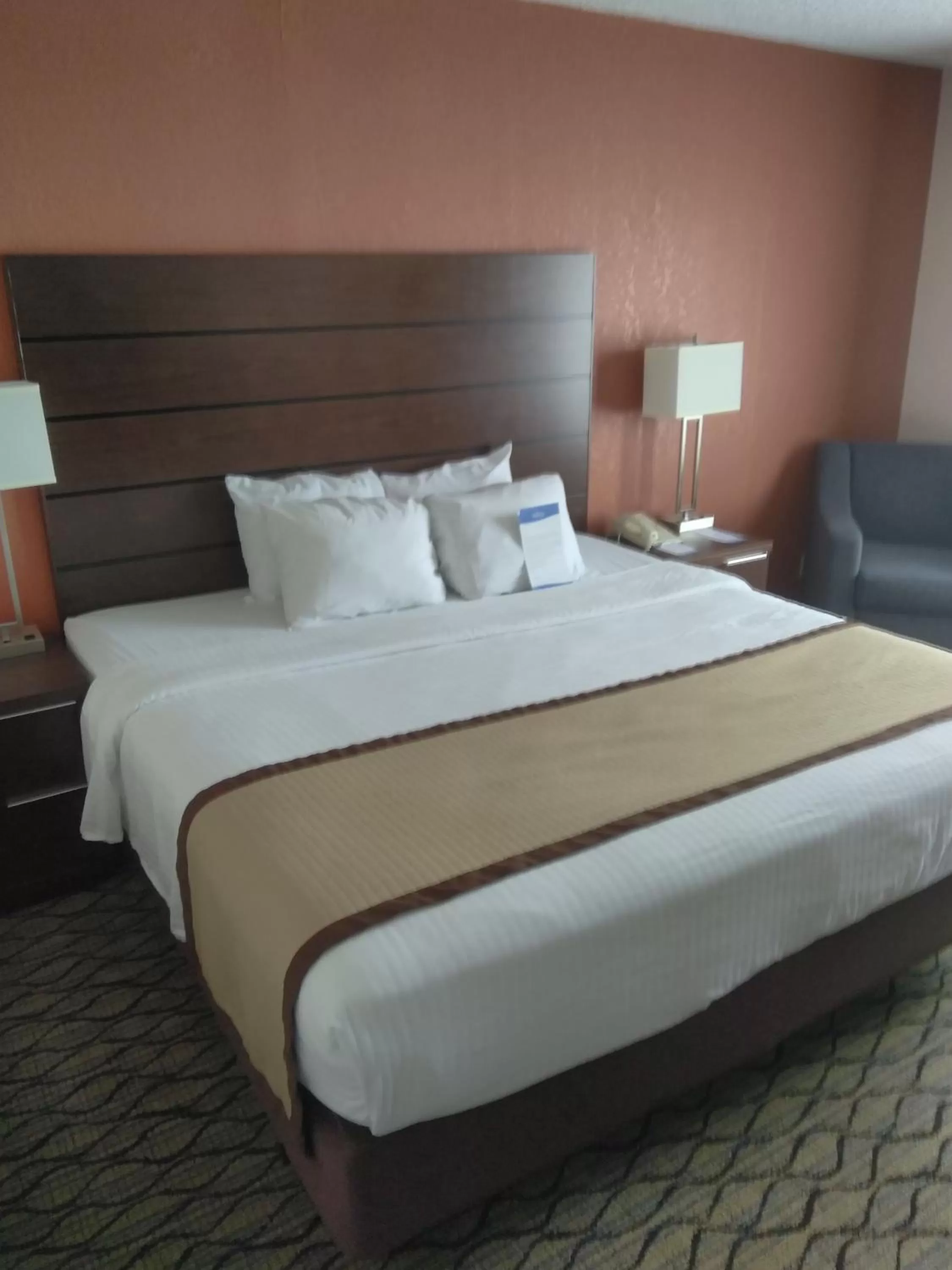 King Room - Non-Smoking in Baymont by Wyndham Madison Heights Detroit Area