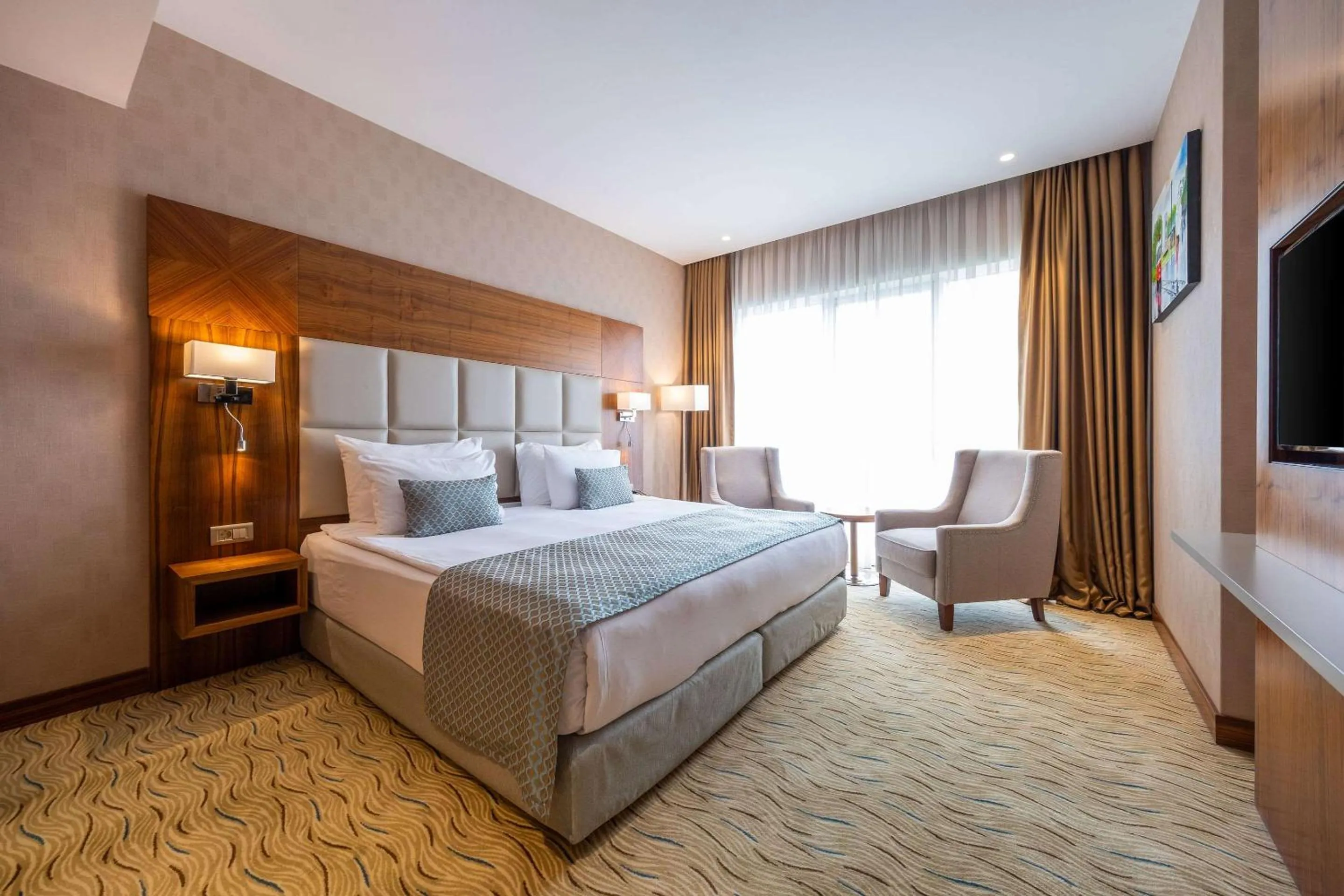 Double Suite - single occupancy - Non-Smoking in Clarion Hotel Istanbul Mahmutbey