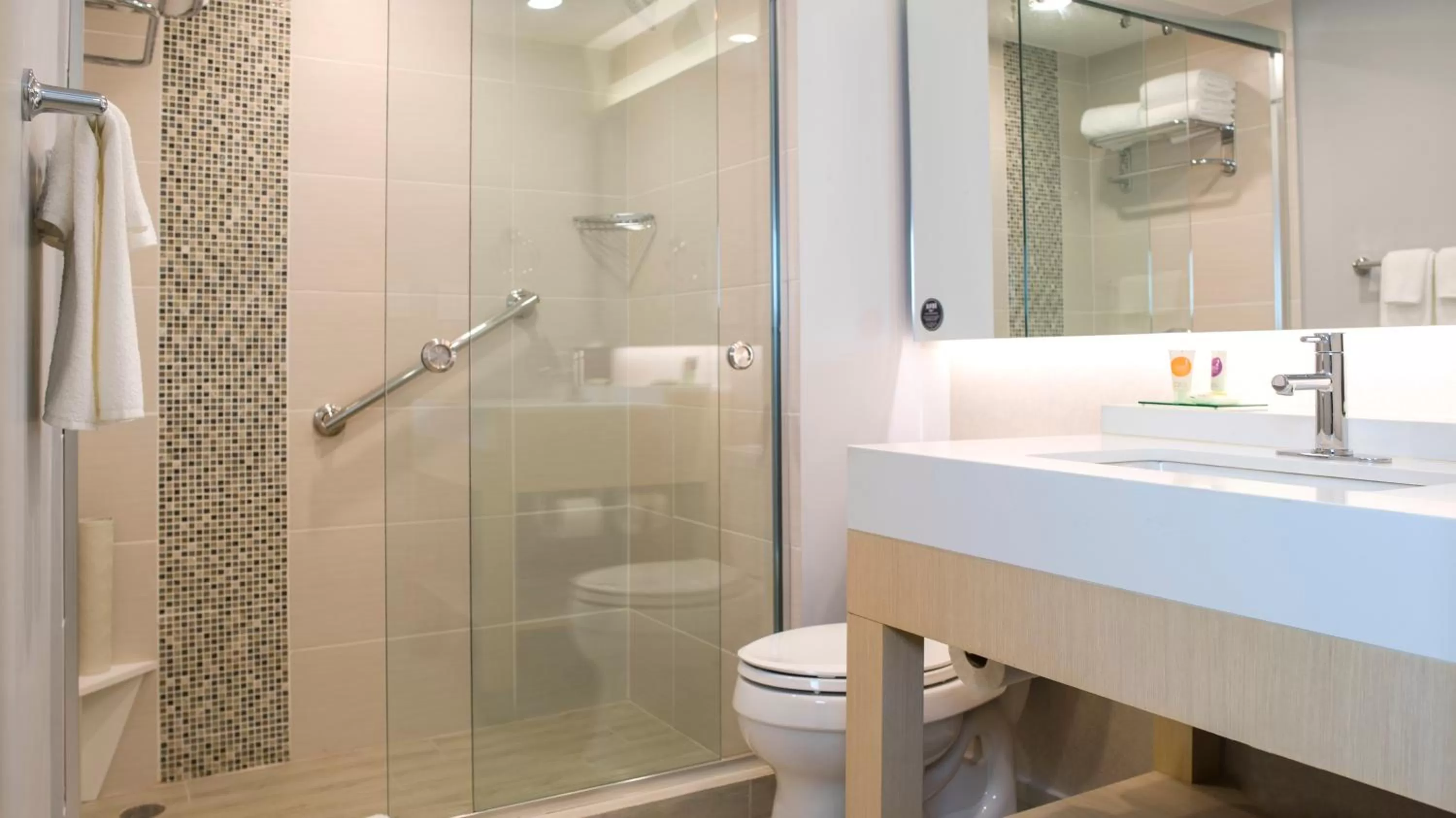 King Room with Sofa Bed and Roll-In Shower - Disability Access in Hyatt Place Managua