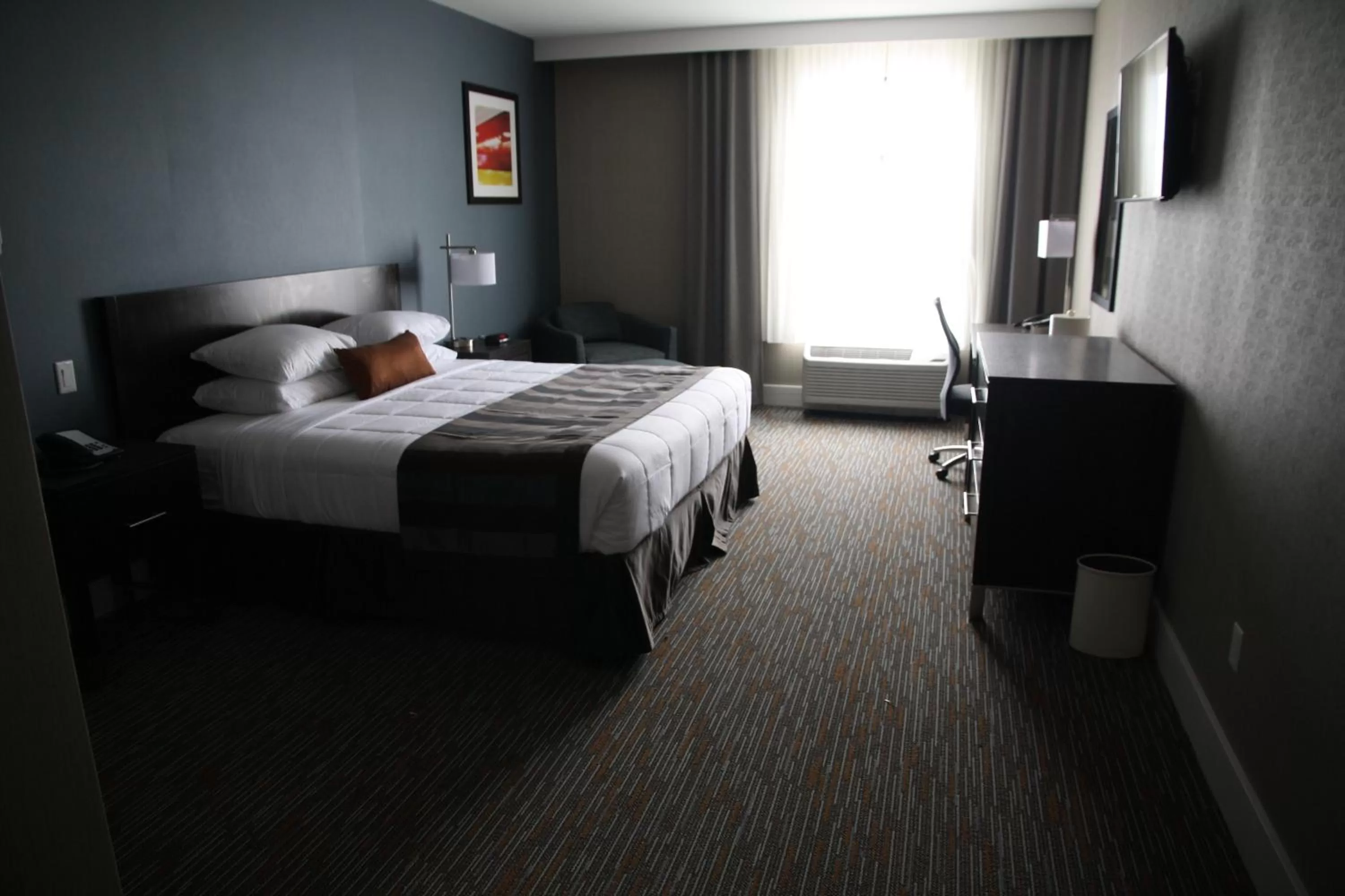 King Room with Roll-In Shower - Mobility/Hearing Accessible - Non-Smoking in Wingate by Wyndham Niagara Falls