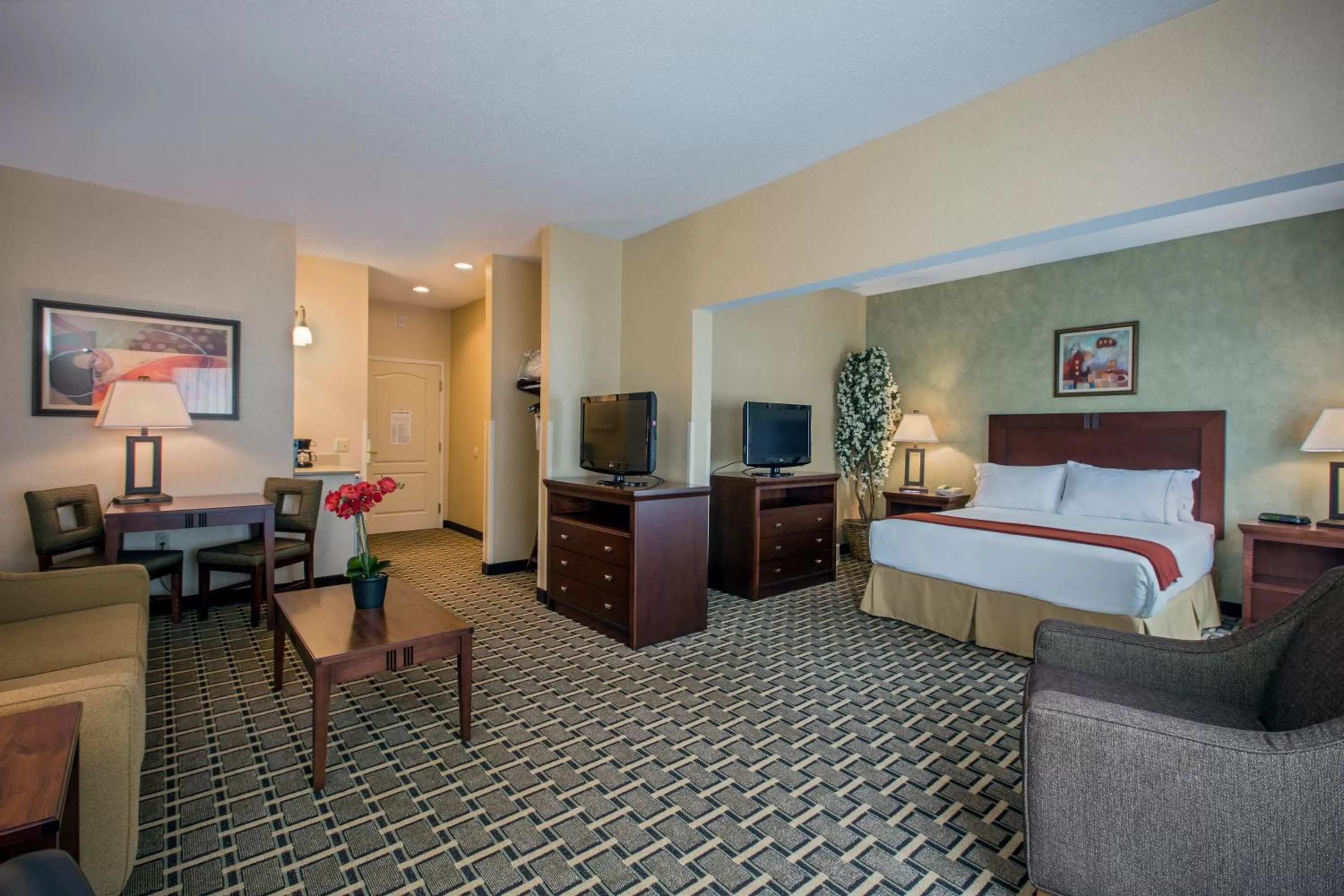 Queen Suite in Holiday Inn Express Hotel & Suites Youngstown North-Warren/Niles by IHG