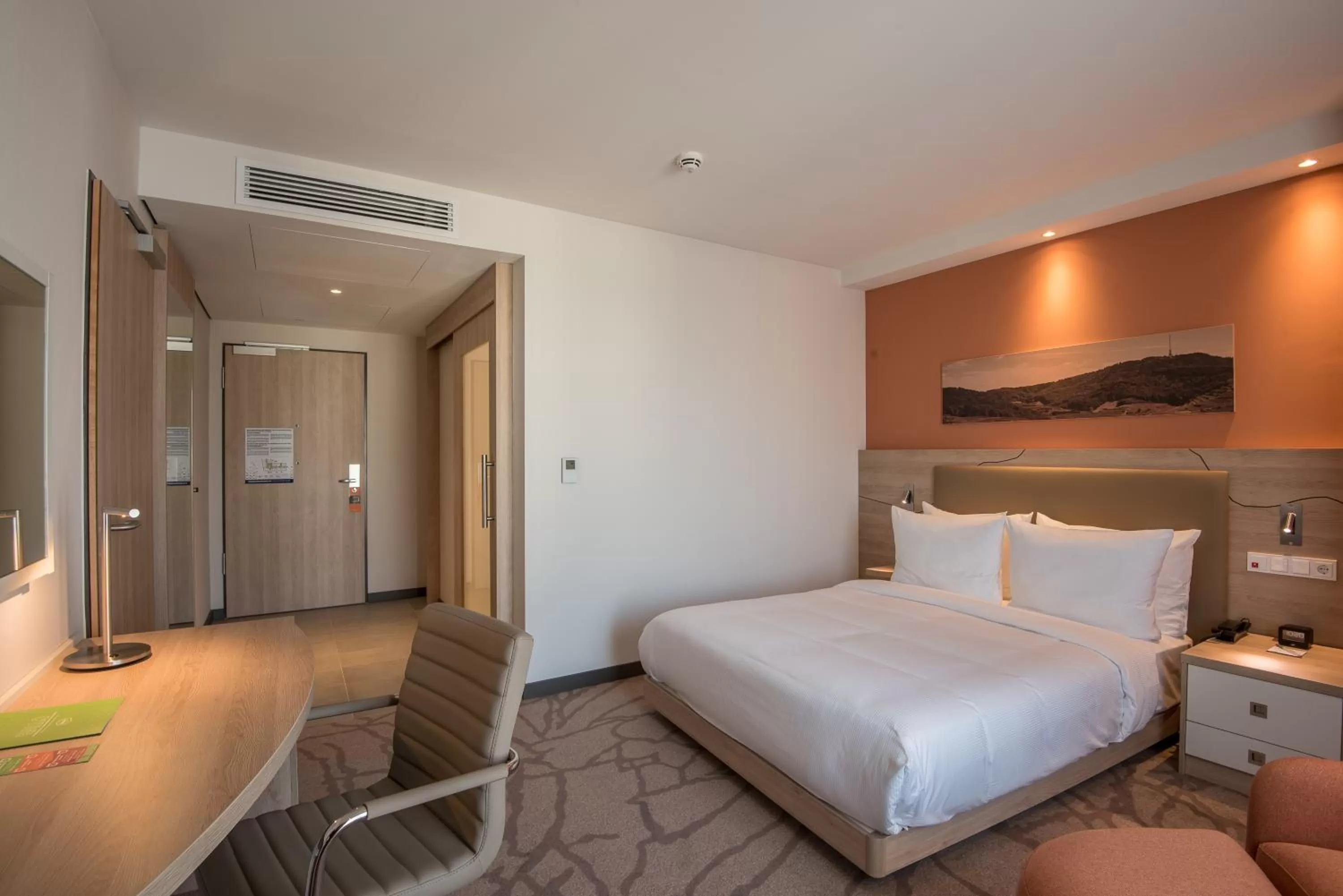 Queen Room - Mobility Access in Hampton By Hilton Freiburg