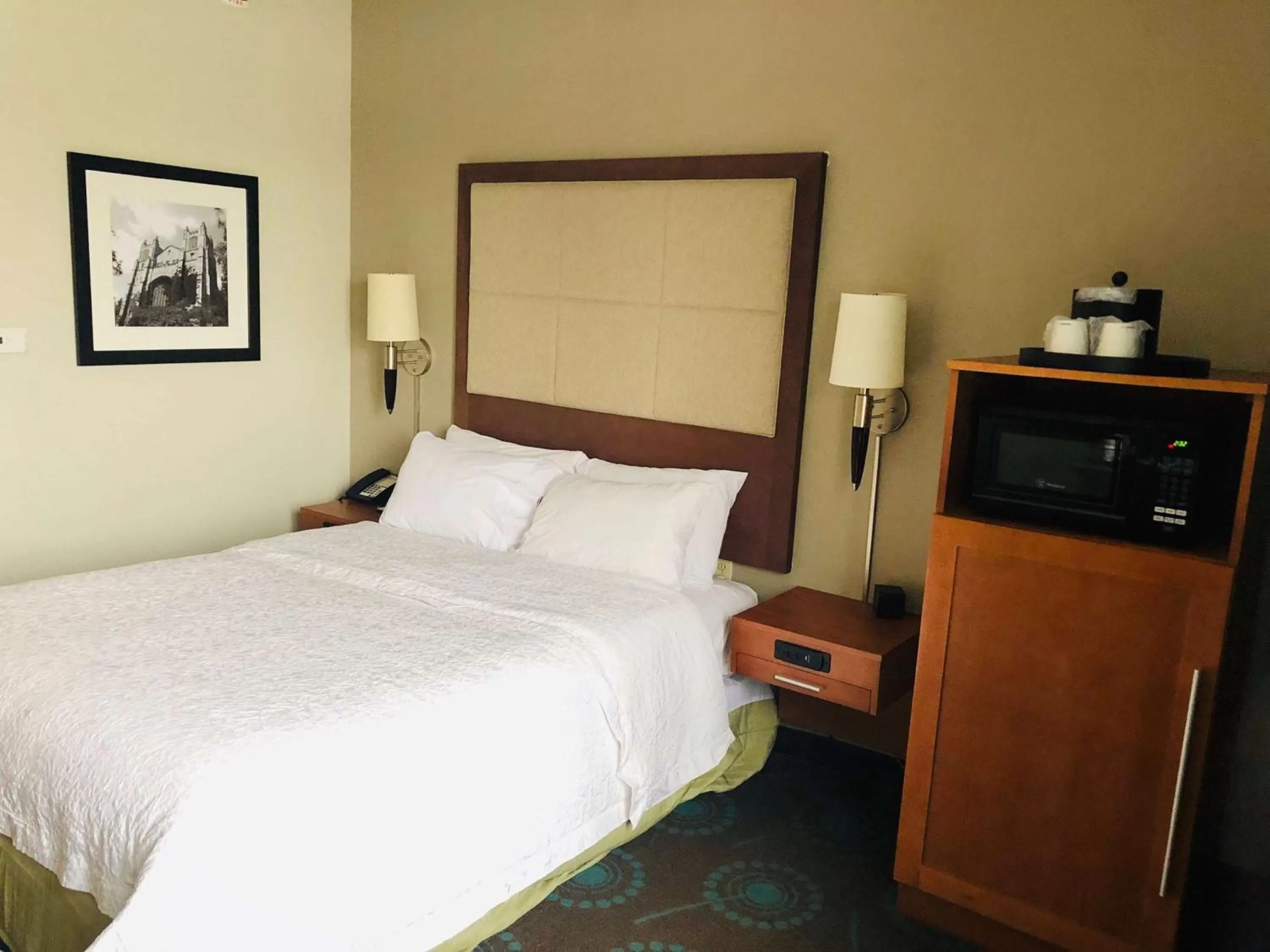Queen Room - Disability Access in Hampton Inn Ann Arbor - North