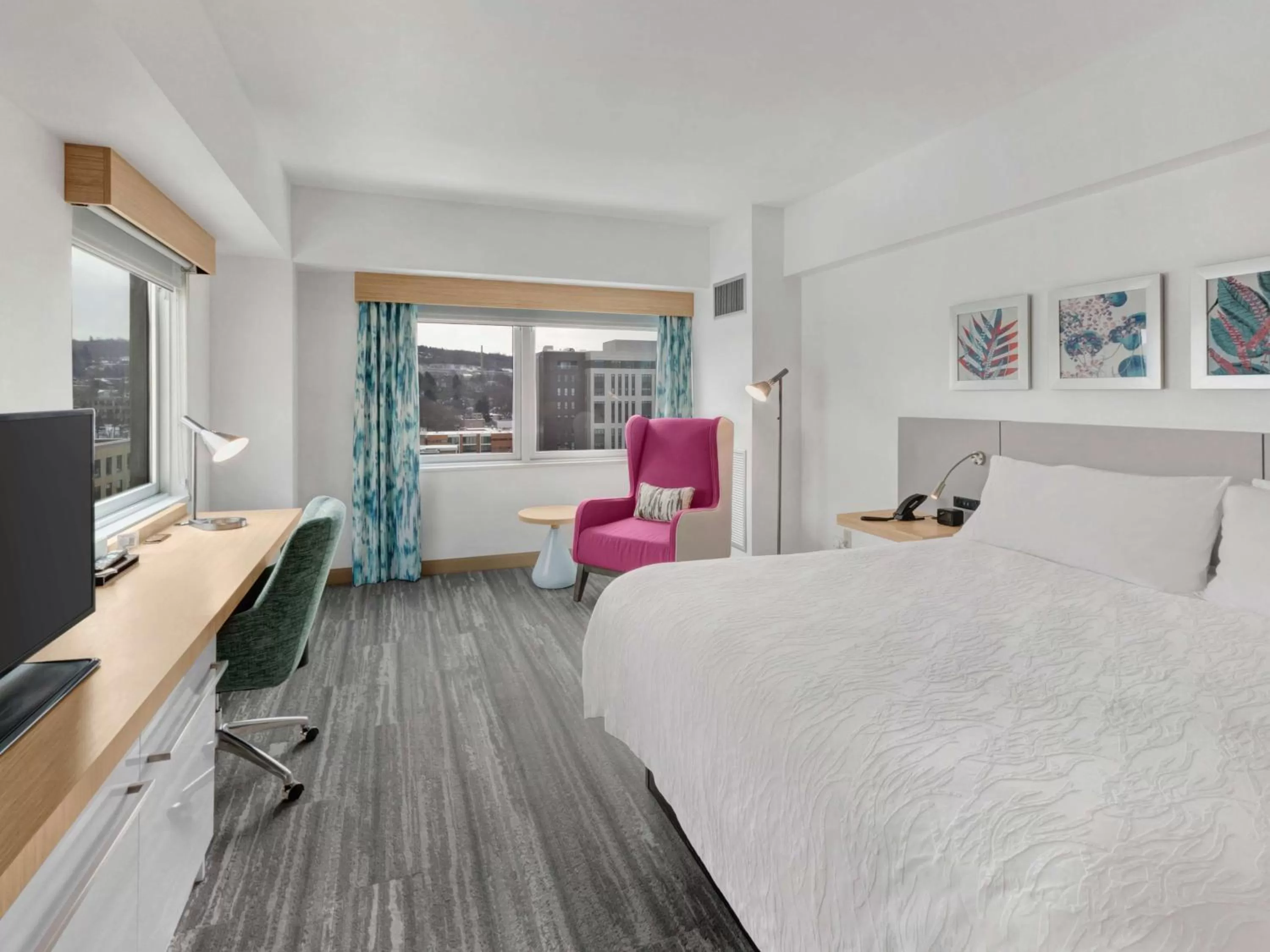 King Room in Hilton Garden Inn Ithaca