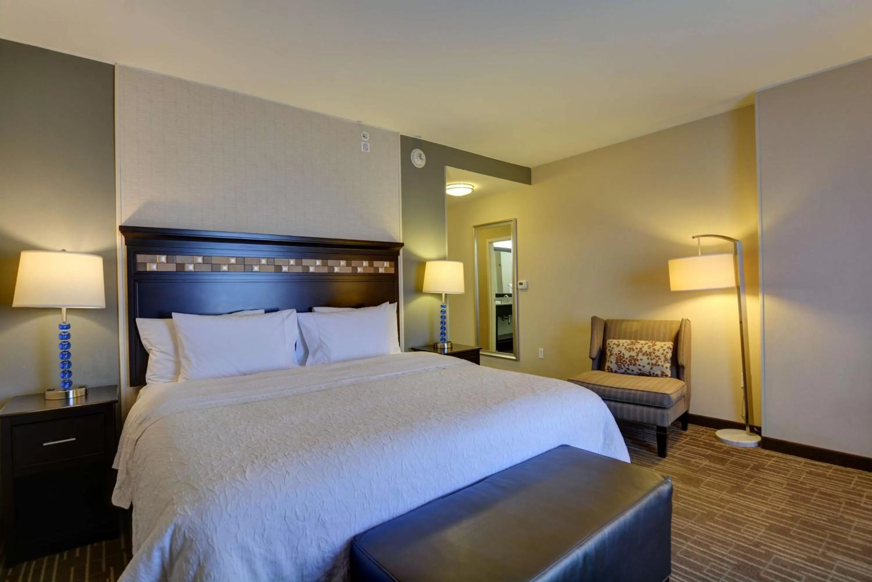 King Room with King Bed - Non-Smoking in Hampton Inn & Suites Denver Airport / Gateway Park