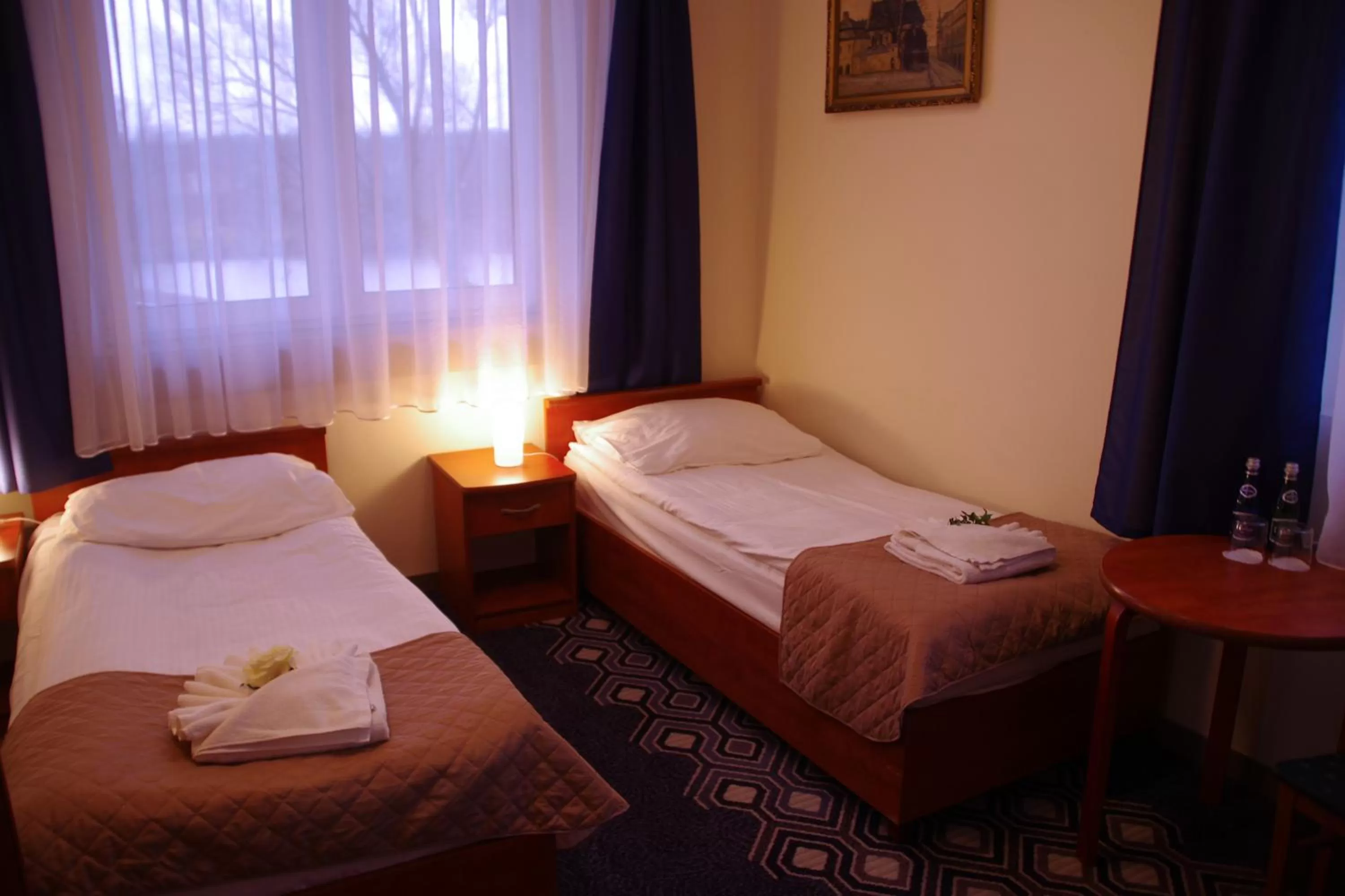 Twin Room in Hotel Vistula