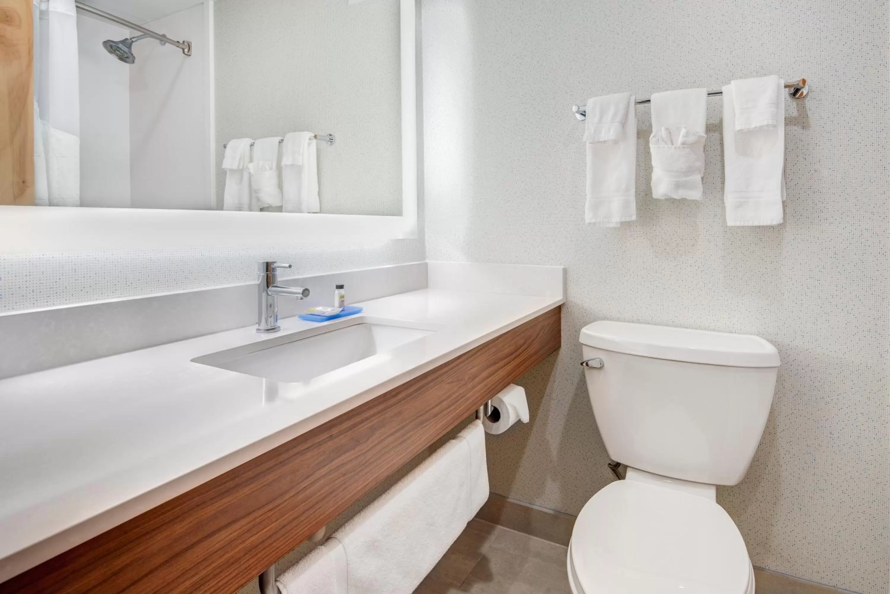 Standard King Room in Holiday Inn Express & Suites West Long Branch - Eatontown by IHG