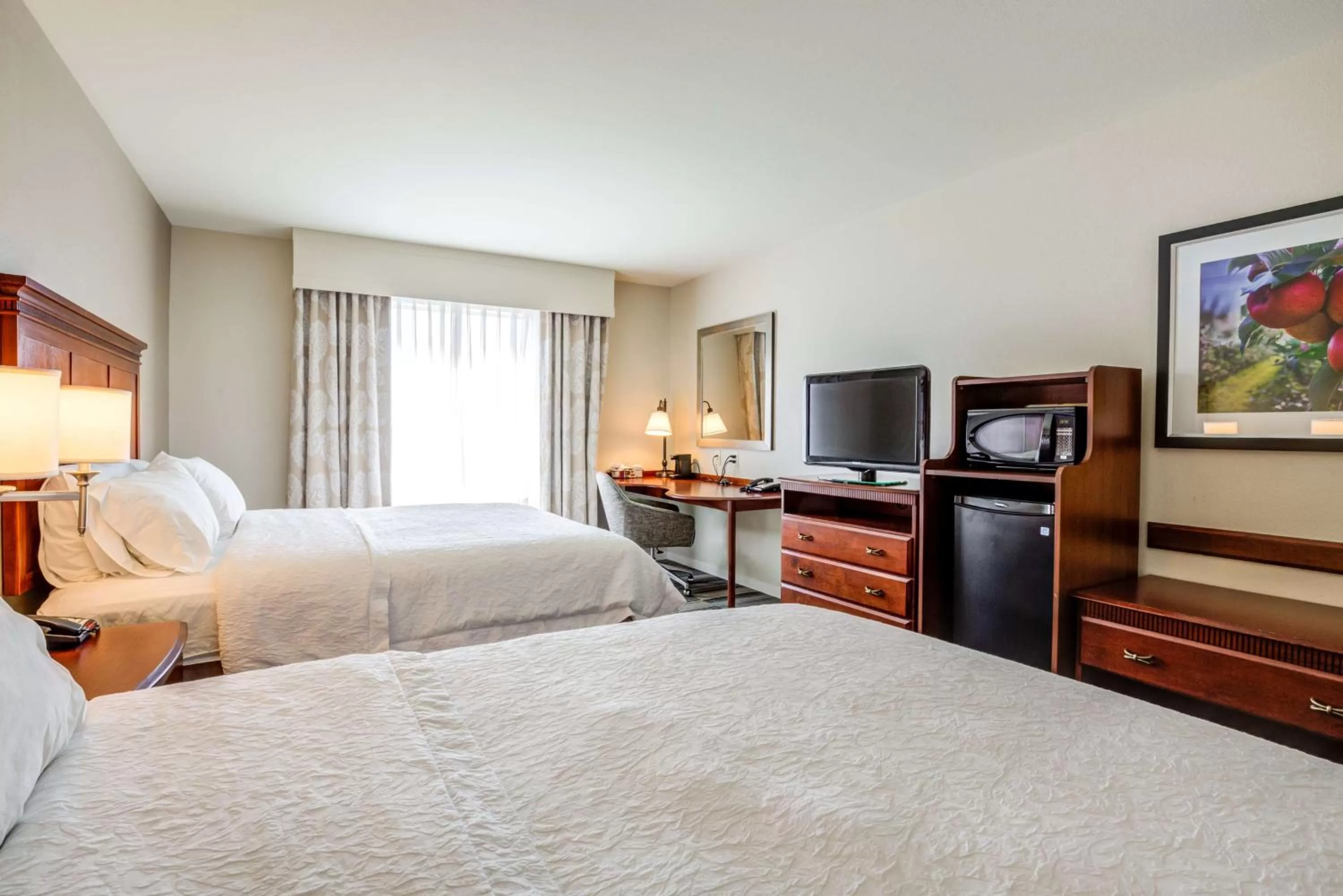 Queen Room with Two Queen Beds - Mobility and Hearing Access/Non-Smoking in Hampton Inn & Suites Westford-Chelmsford
