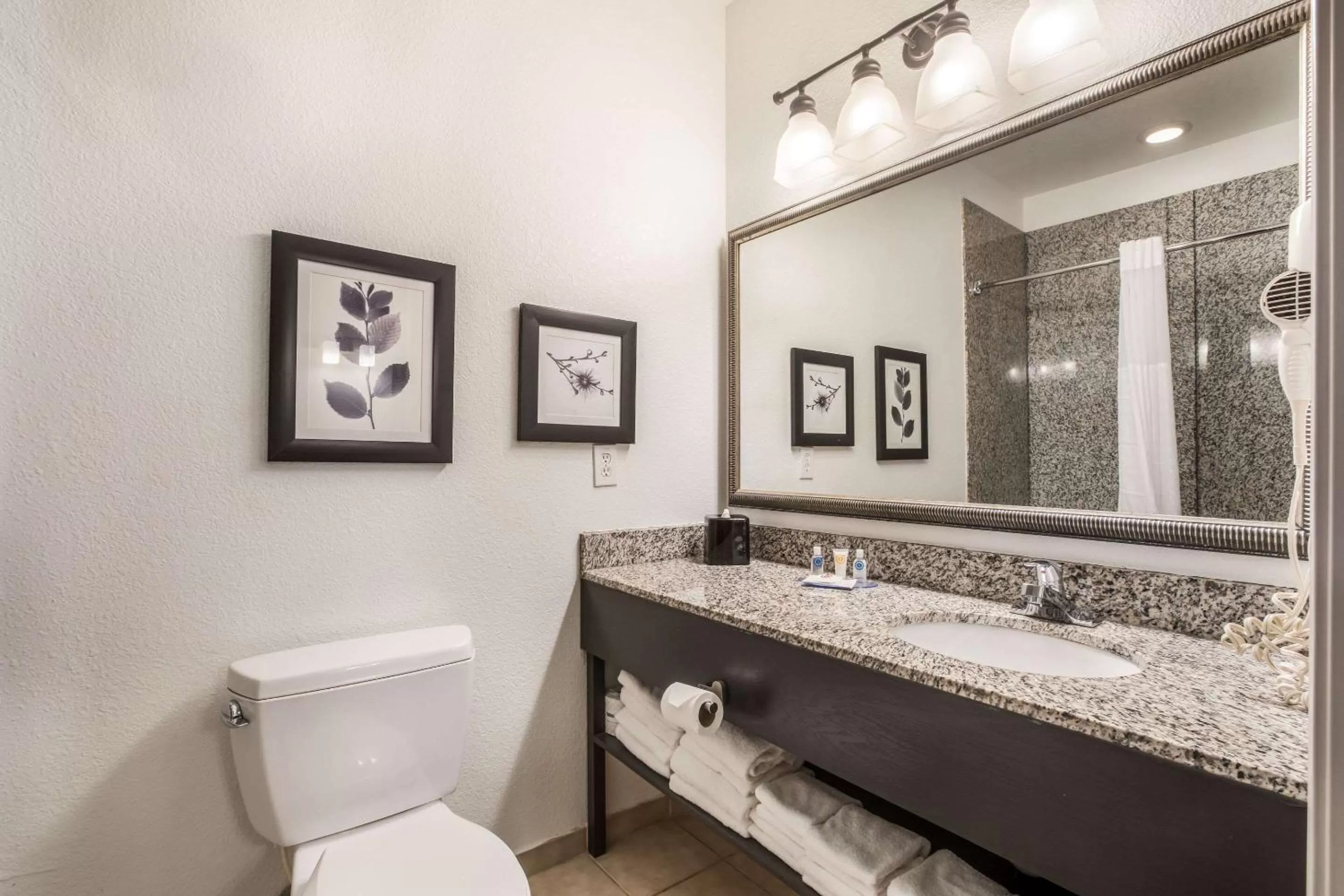 Standard King Room - Non Smoking in Comfort Inn & Suites Fairburn - Atlanta Southwest