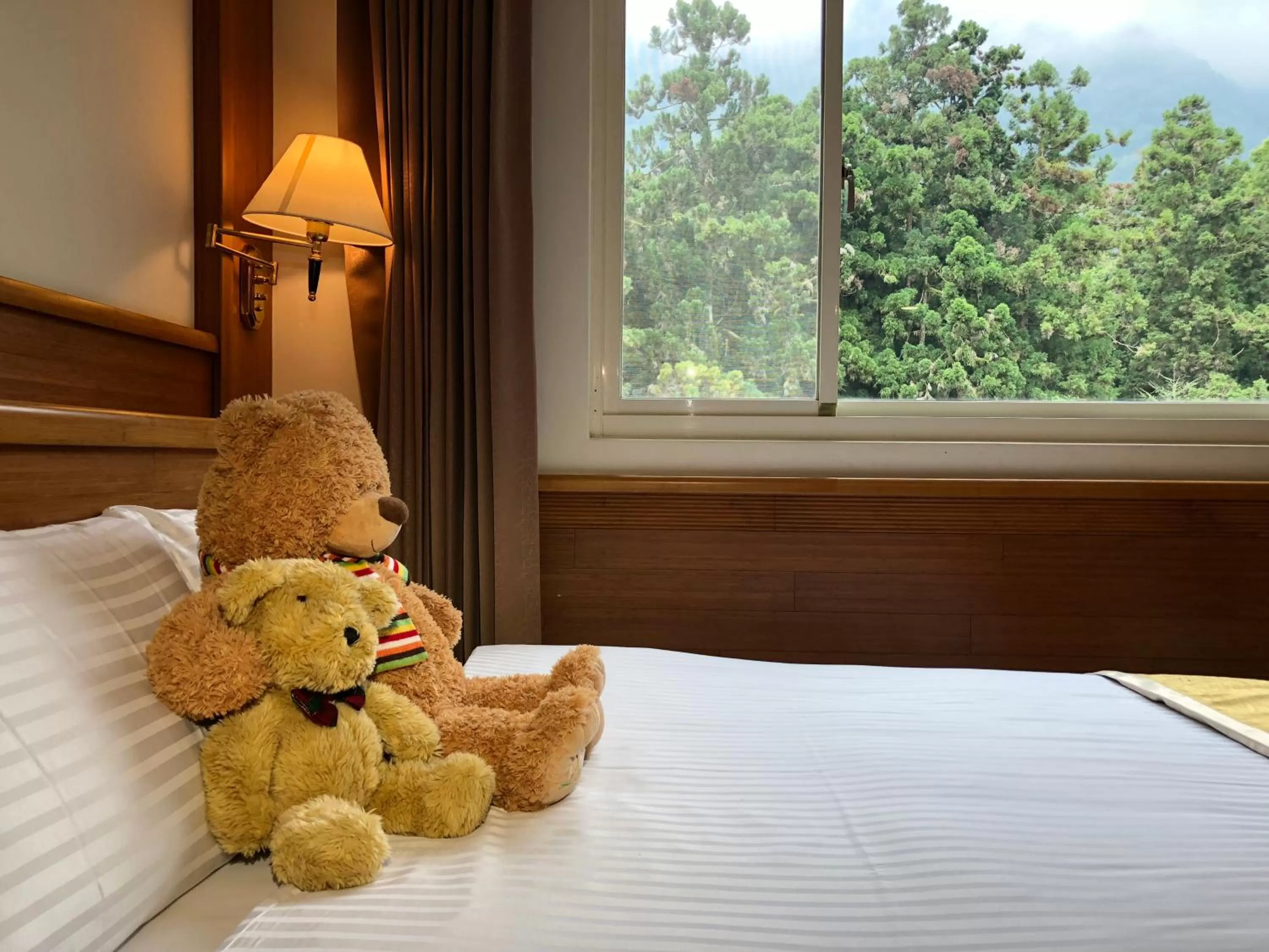 Standard Twin Room in Ginkgo Hotel