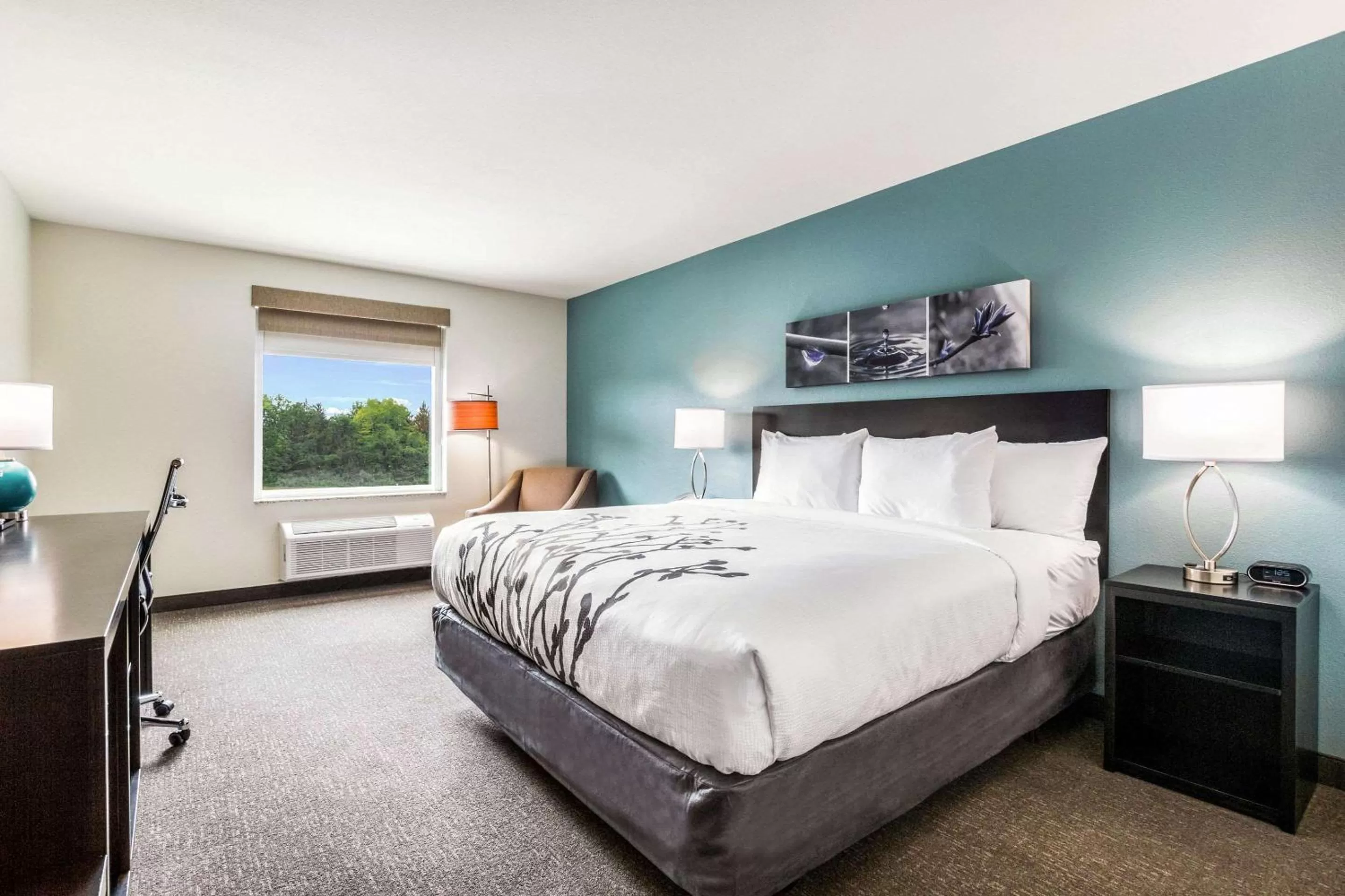 King Room - Non-Smoking in Sleep Inn Winfield - Teays Valley