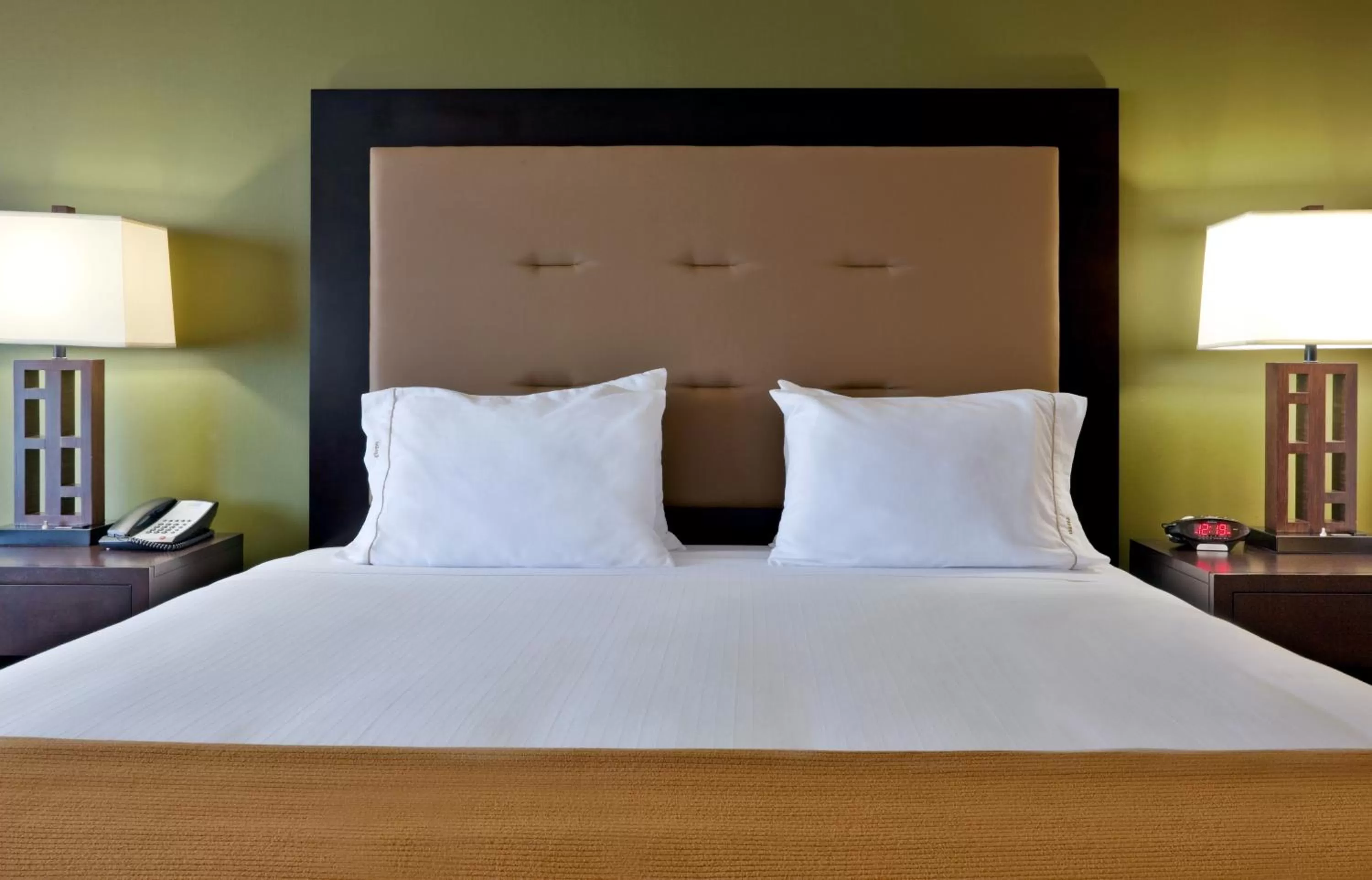 Standard Room in Holiday Inn Express Hotel Twin Falls by IHG