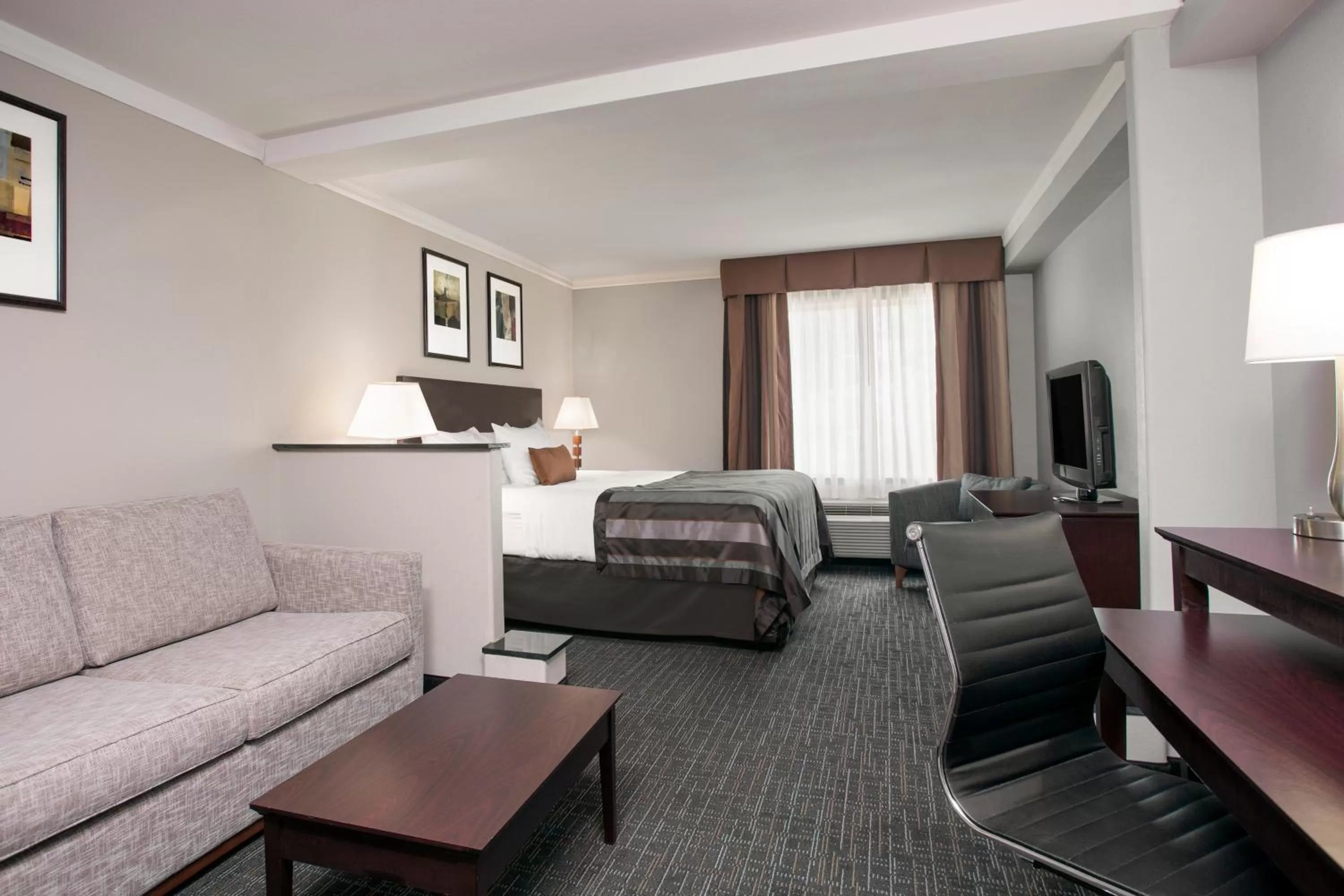 King Room with Bath Tub - Mobility Accessible/Non-Smoking in Wingate by Wyndham Athens GA