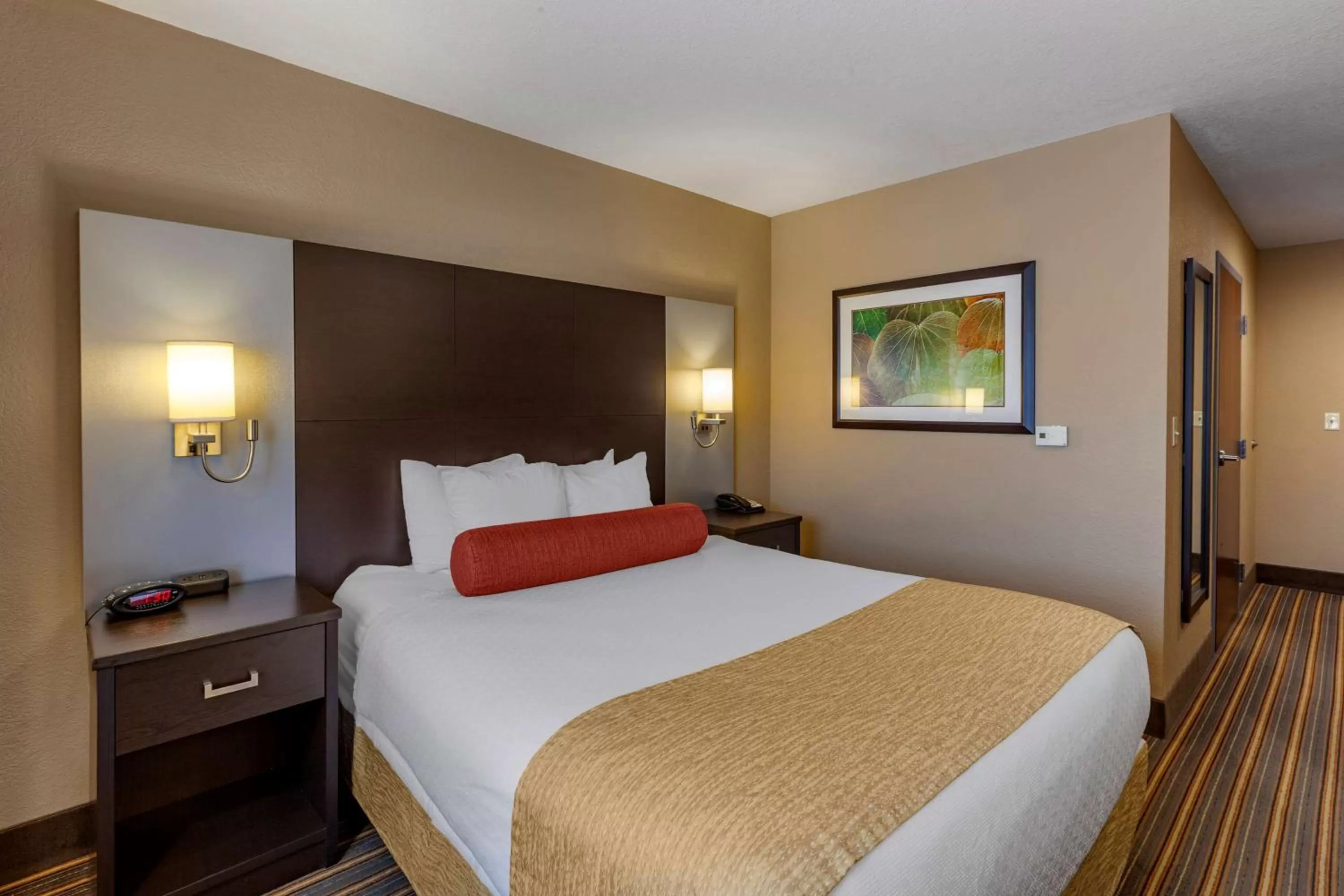 King Room with Roll In Shower - Non-smoking in Best Western Plus Woodstock Inn & Suites