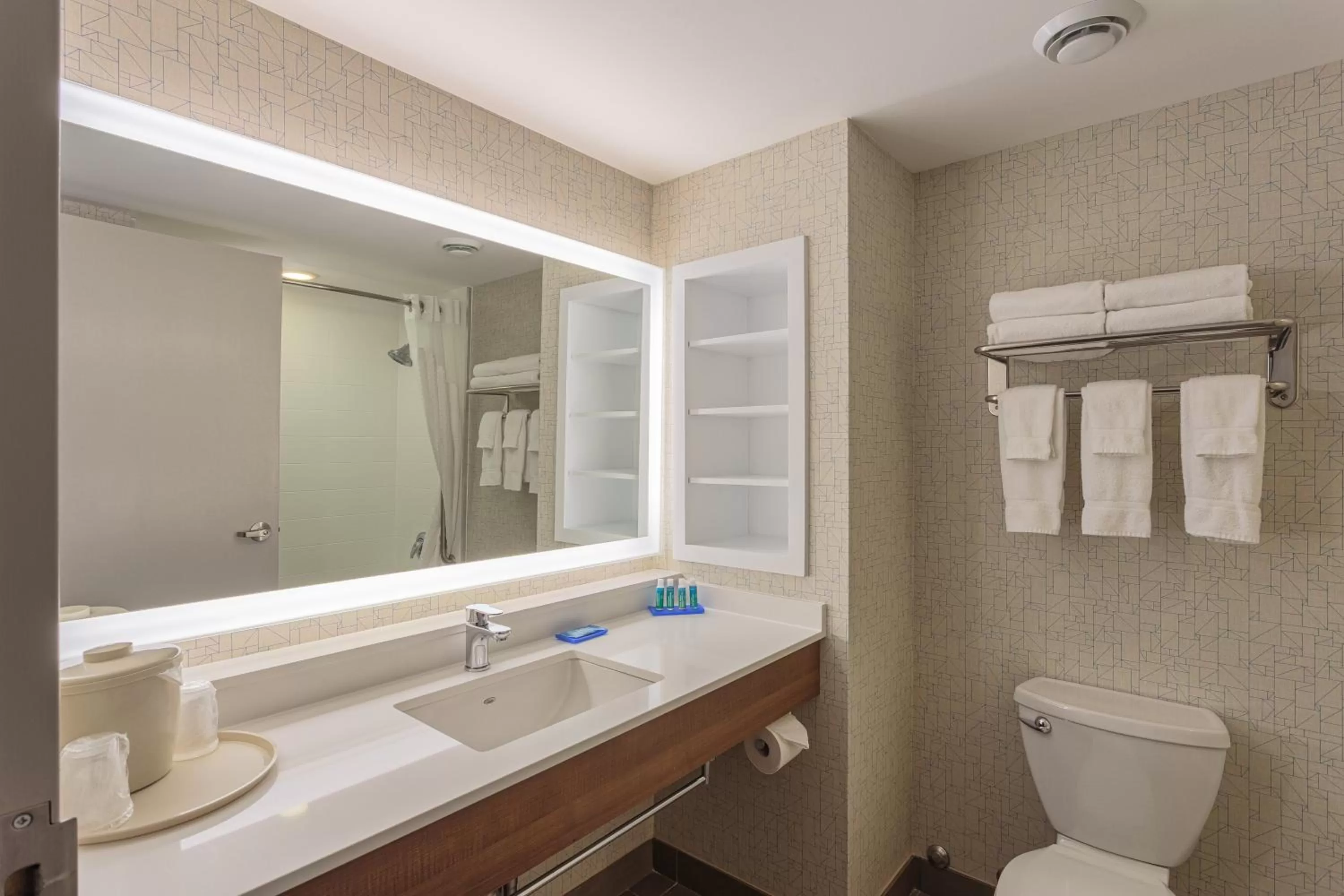 Suite with Two Queen Beds in Holiday Inn Express & Suites - Belleville by IHG