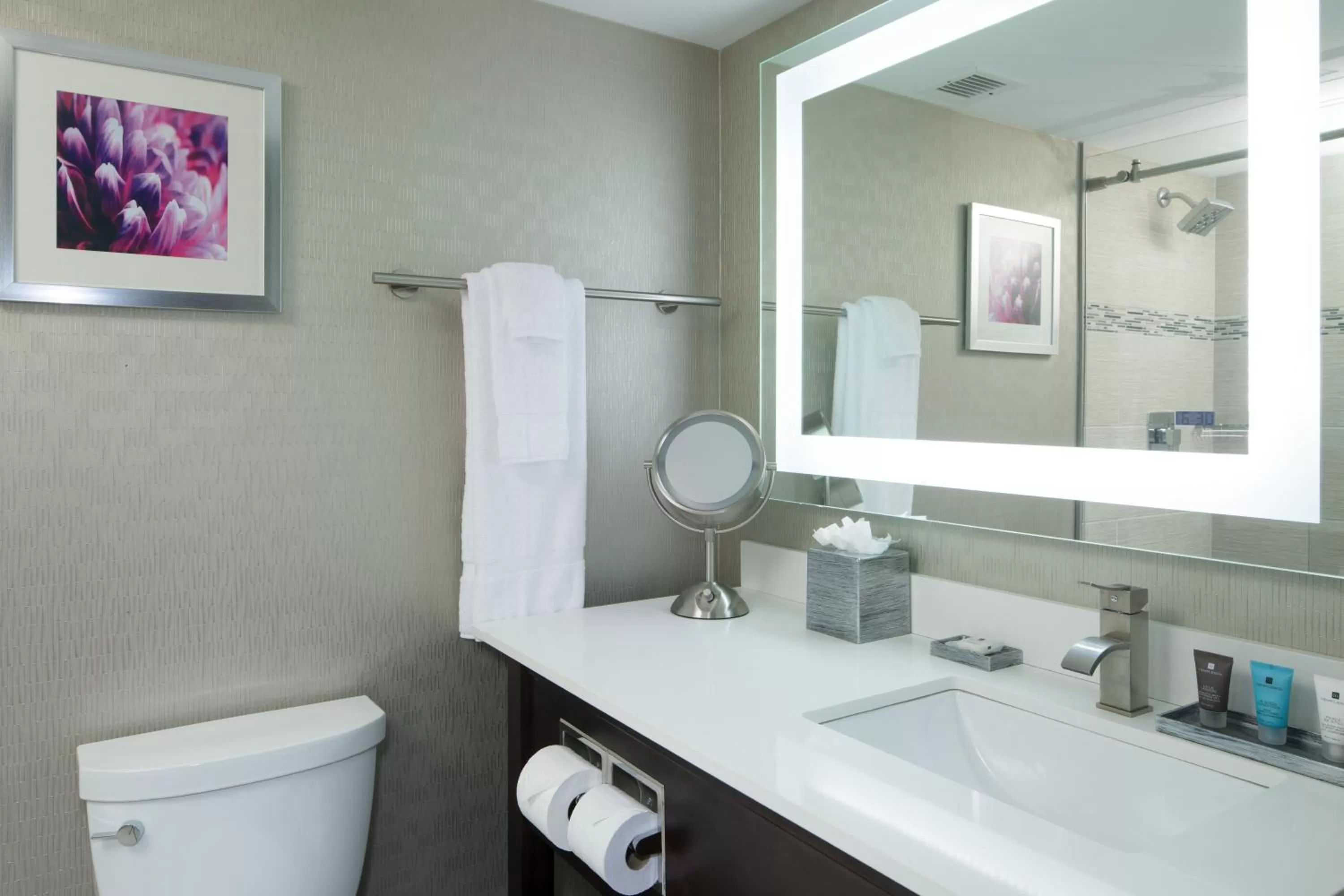 Junior King Suite with Accessible Jetted Tub in Crowne Plaza Chicago SW - Burr Ridge by IHG