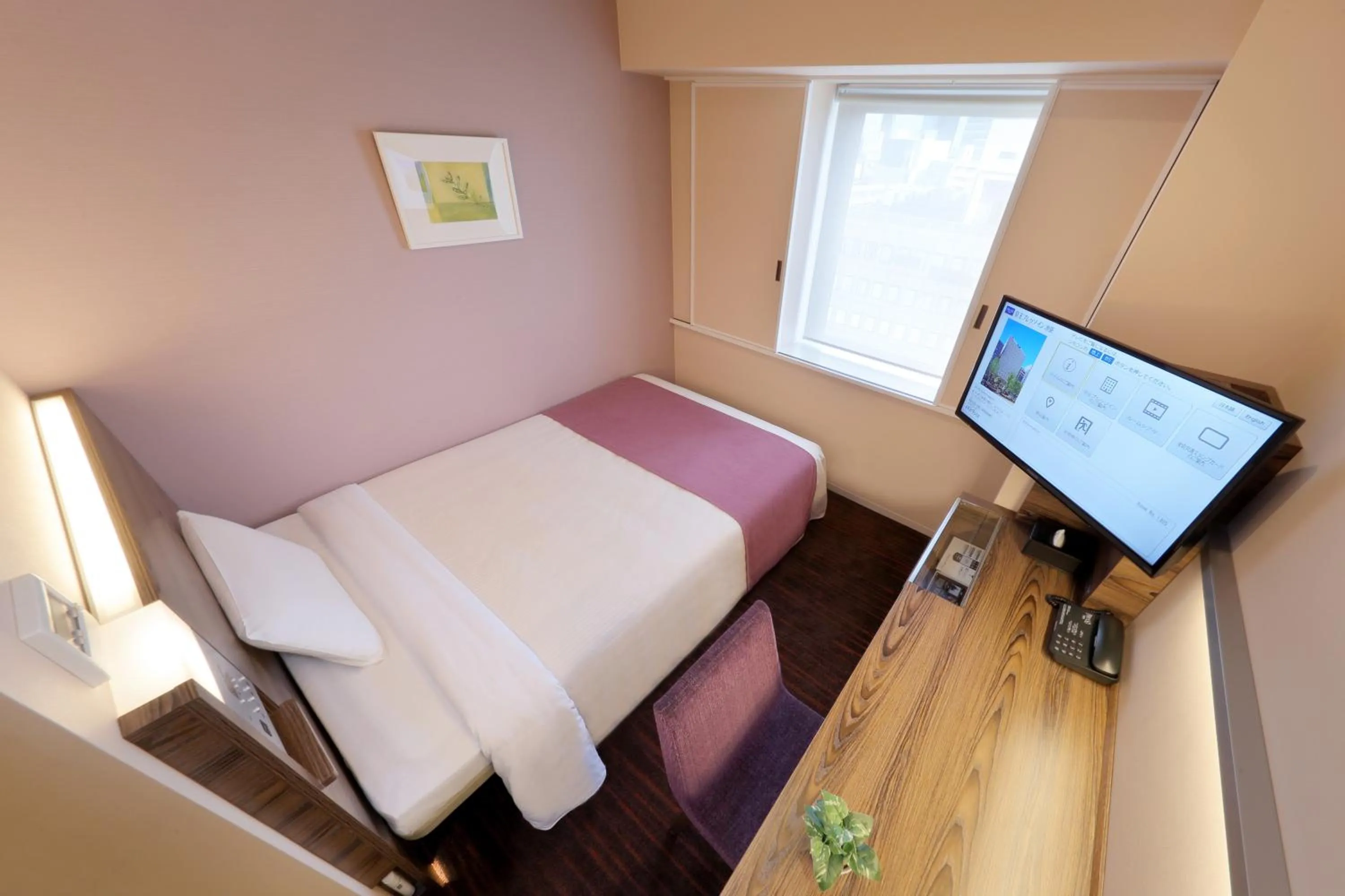 Single Room - Smoking in Keio Presso Inn Ikebukuro