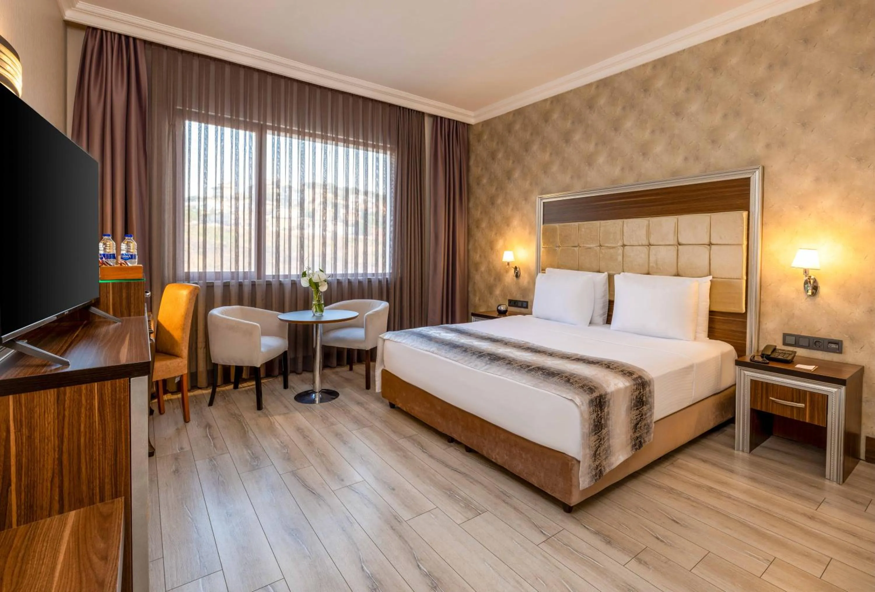 Standard Double or Twin Room in Elite Hotel Dragos