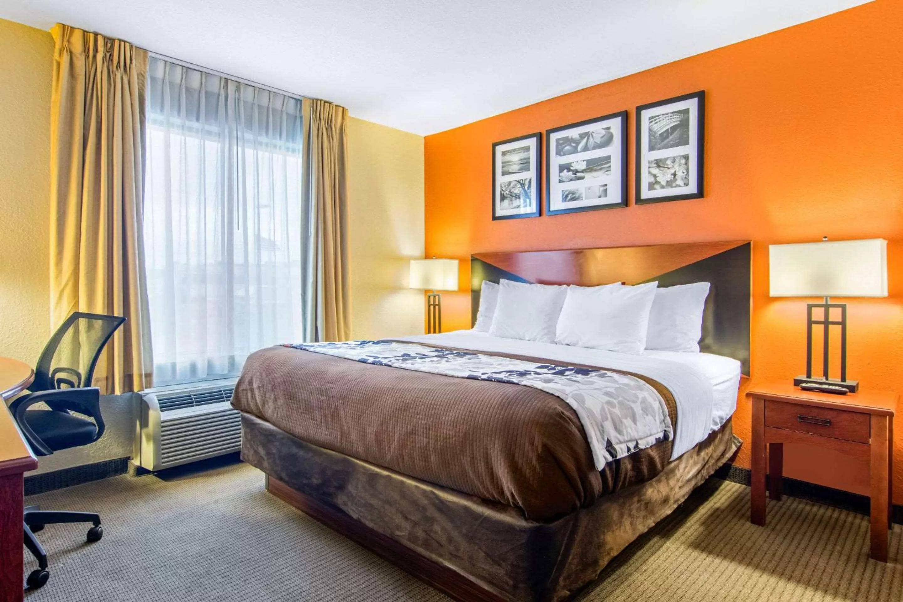 King Room - Non Smoking/Pet Friendly in Sleep Inn & Suites Athens South