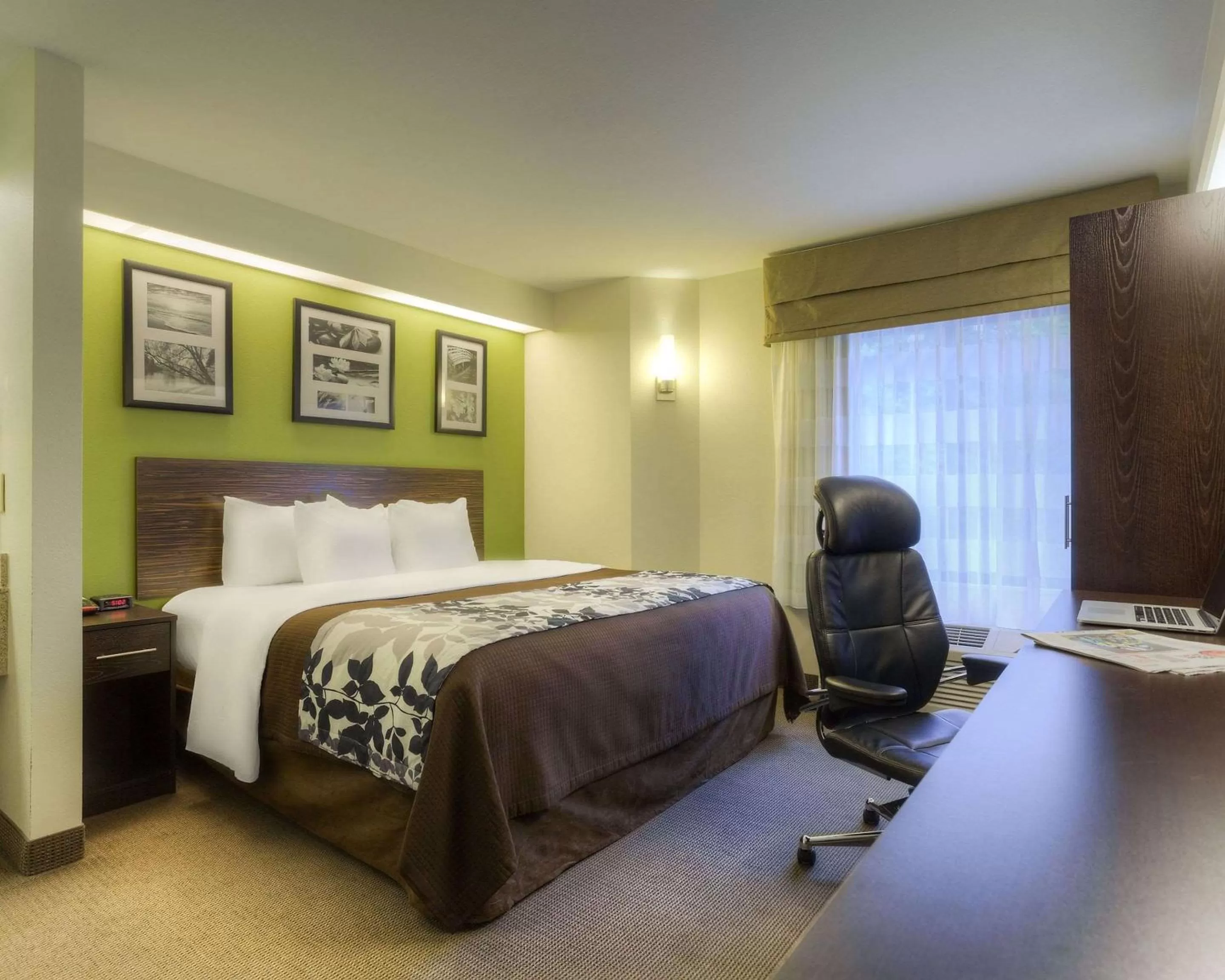 First Floor King Room - Non-Smoking in Sleep Inn Bryson City Cherokee