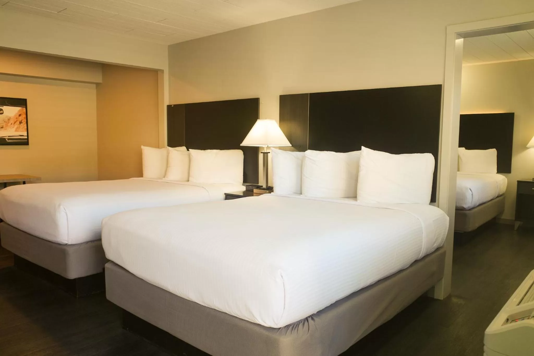 Superior Family Room - Pet Friendly in Americana Modern Hotel