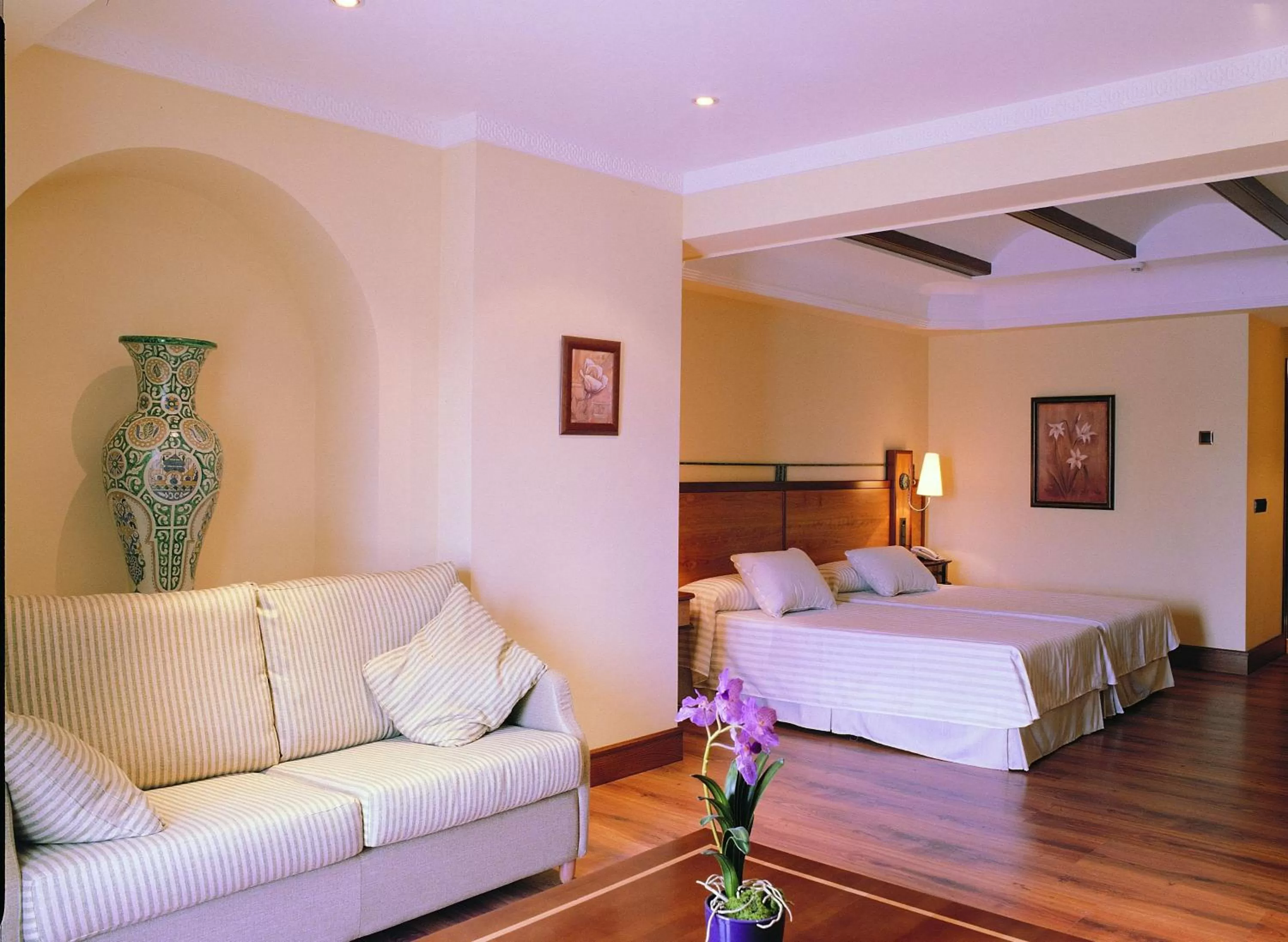 Junior Suite in Hotel Abades Guadix