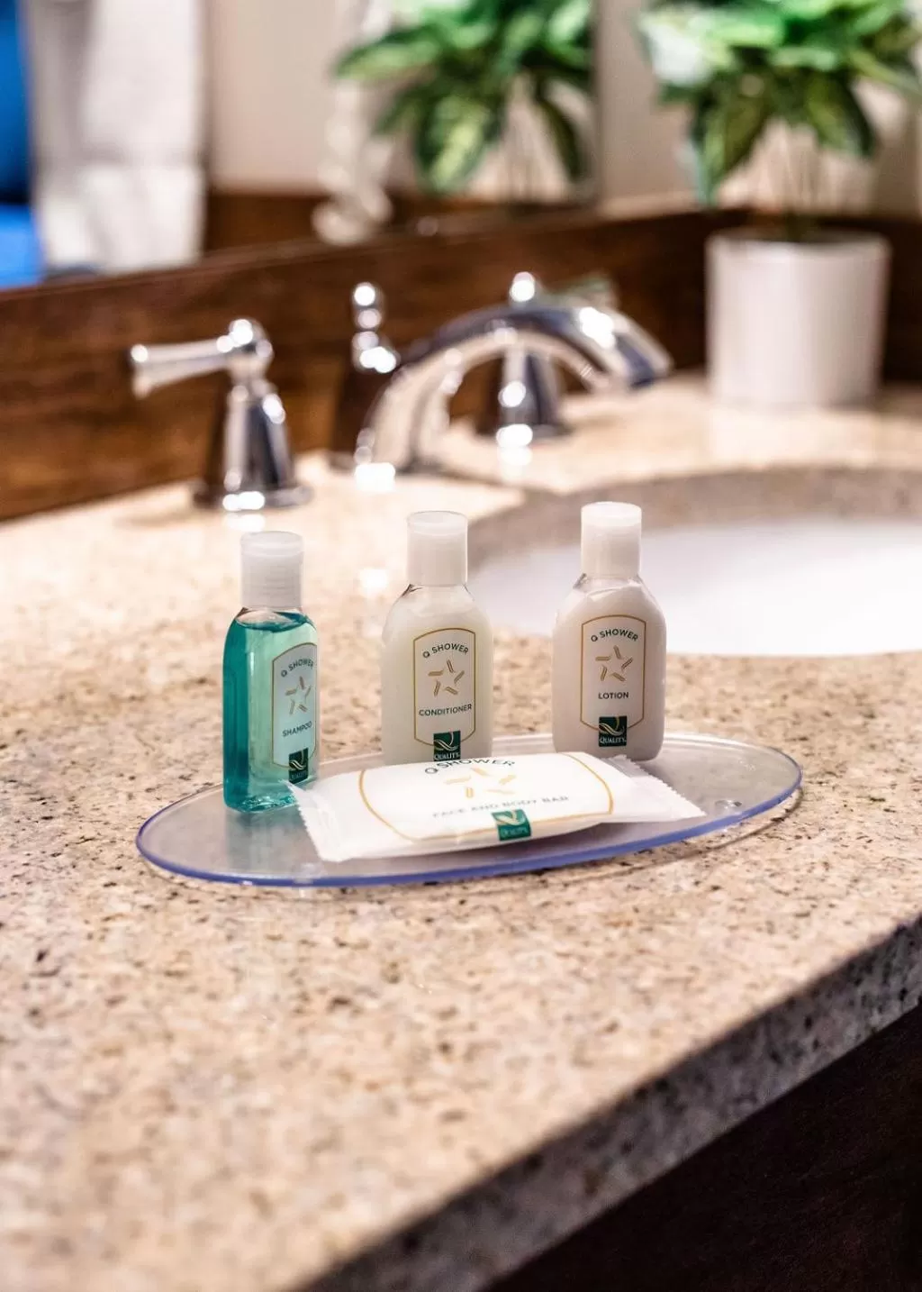 Efficiency King Room - Accessible/Non Smoking in Quality Inn & Suites