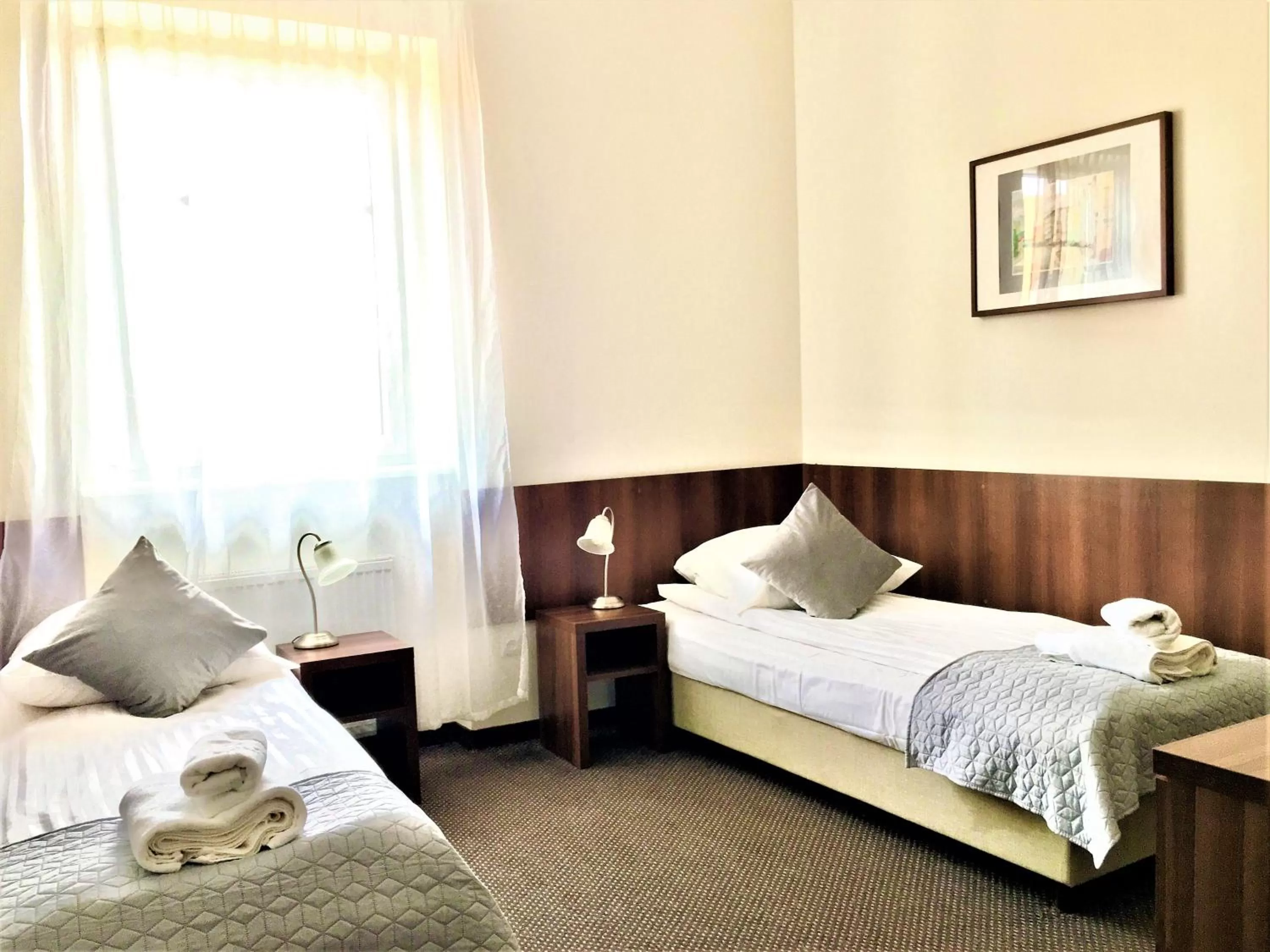 Twin Room - single occupancy in Hotel Pod Jeleniem