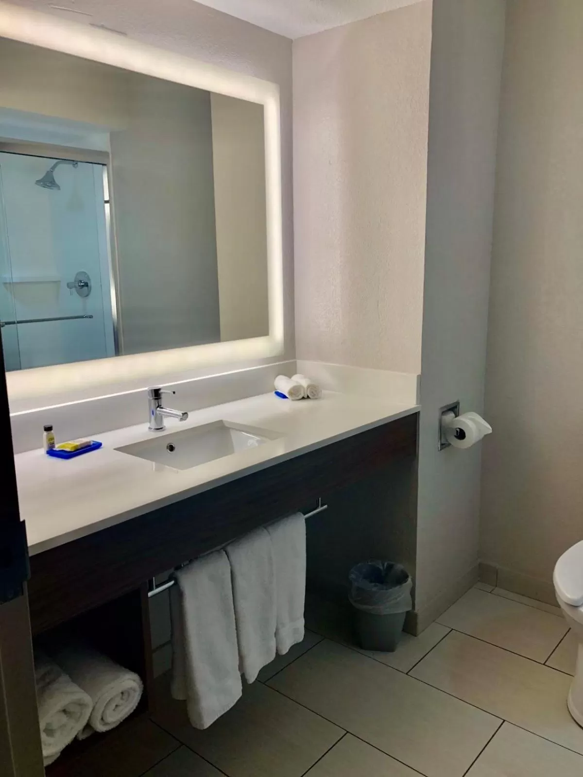 Standard King Room in Holiday Inn Express Hotel & Suites Clewiston by IHG