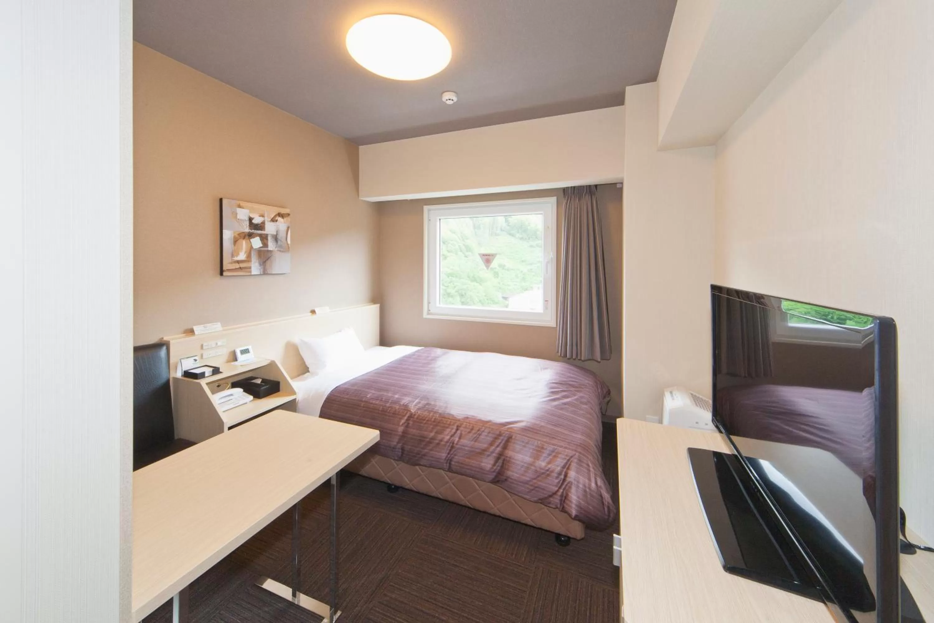 Single Room - single occupancy - Smoking in Hotel Route-Inn Saiki Ekimae