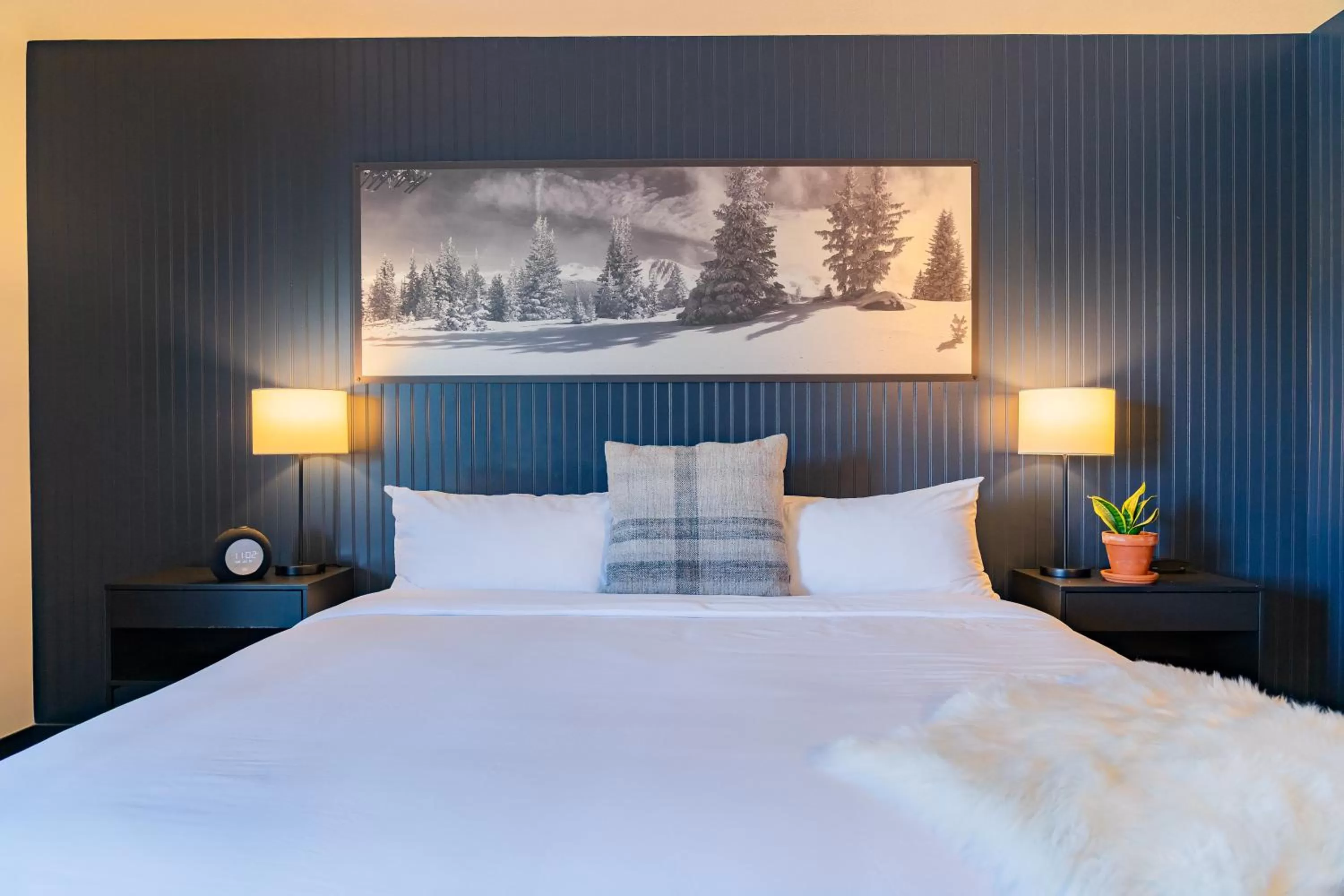 Deluxe Double Room in Gravity Haus Winter Park