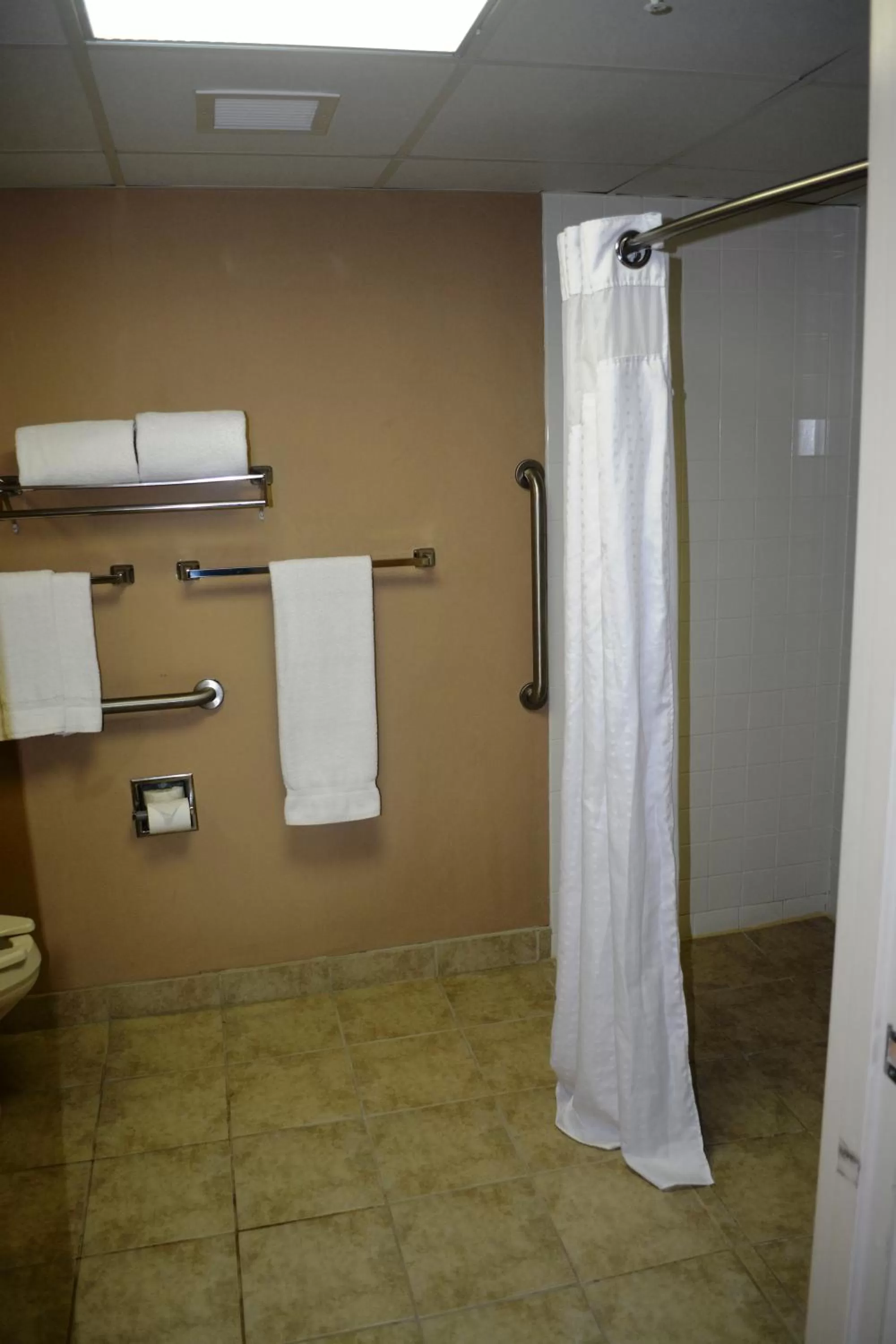 Queen Room with Roll-In Shower - Disability Access in SureStay Plus Hotel by Best Western Roanoke Rapids I-95