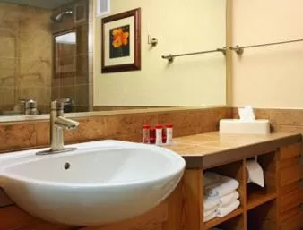 1 King Bed, Deluxe One-Bedroom Suite, Poolside, Non-Smoking in Ramada by Wyndham Des Moines Tropics Resort & Conference Ctr