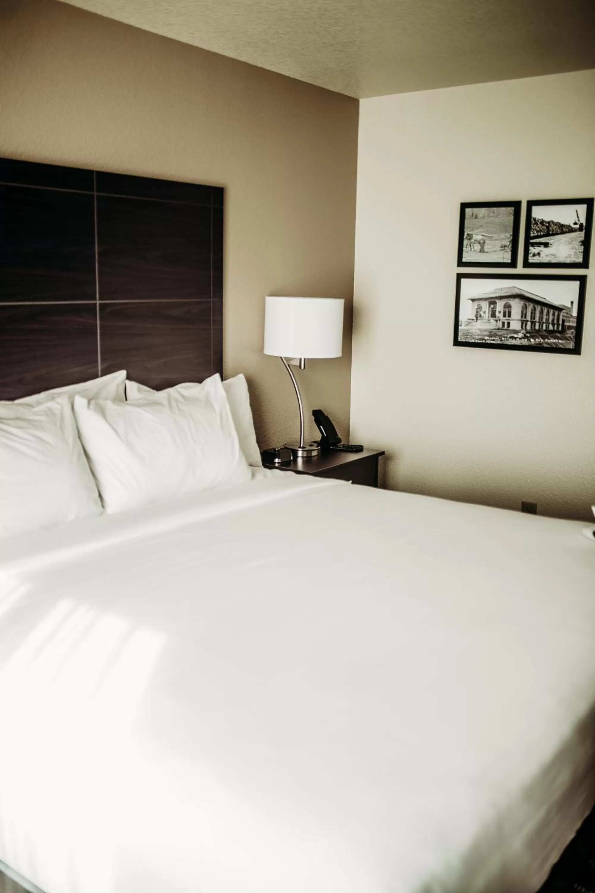 King Room in Cobblestone Hotel & Suites International Falls