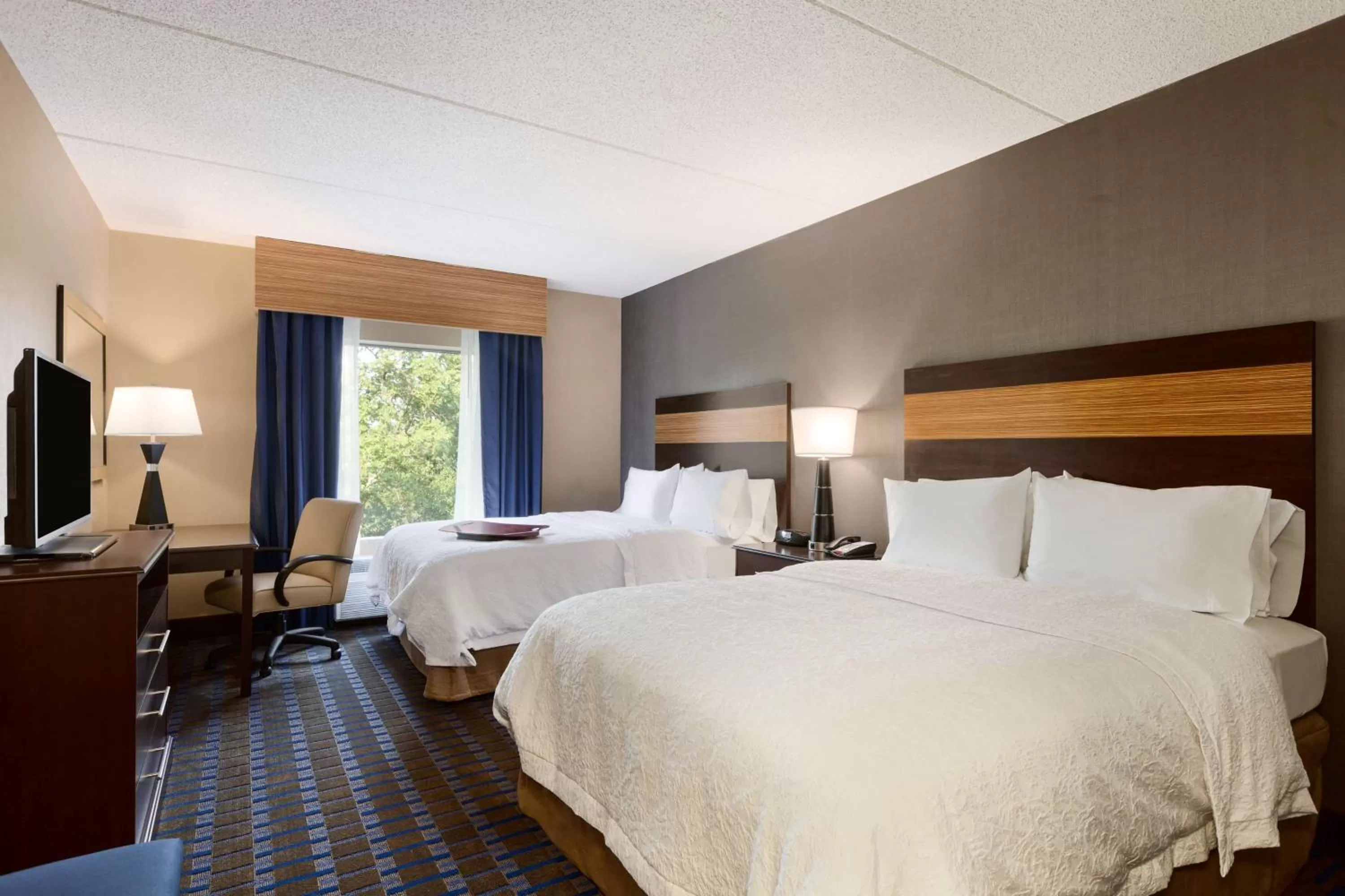 Queen Room with Two Queen Beds - Hearing Access/Non-Smoking in Hampton Inn and Suites Camp Springs