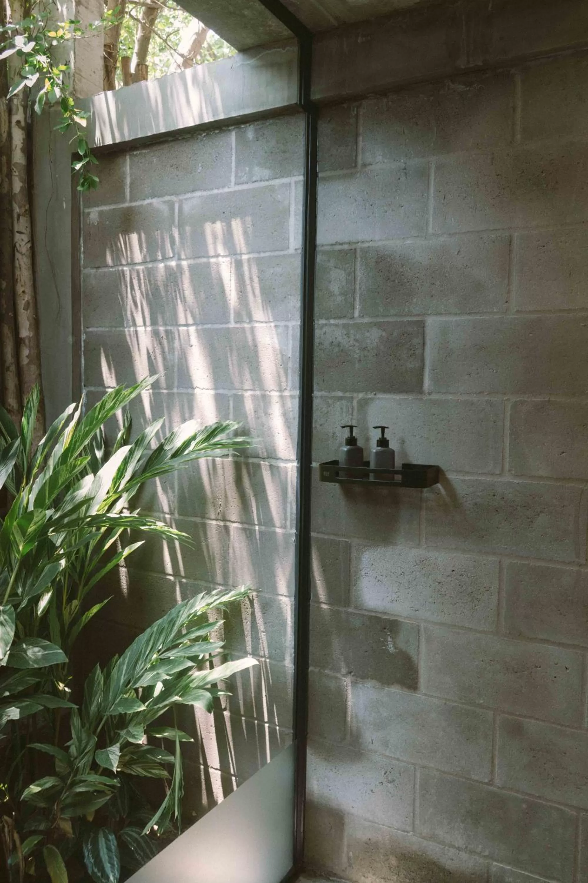 Family Suite  in Larimar Hotel & Resort