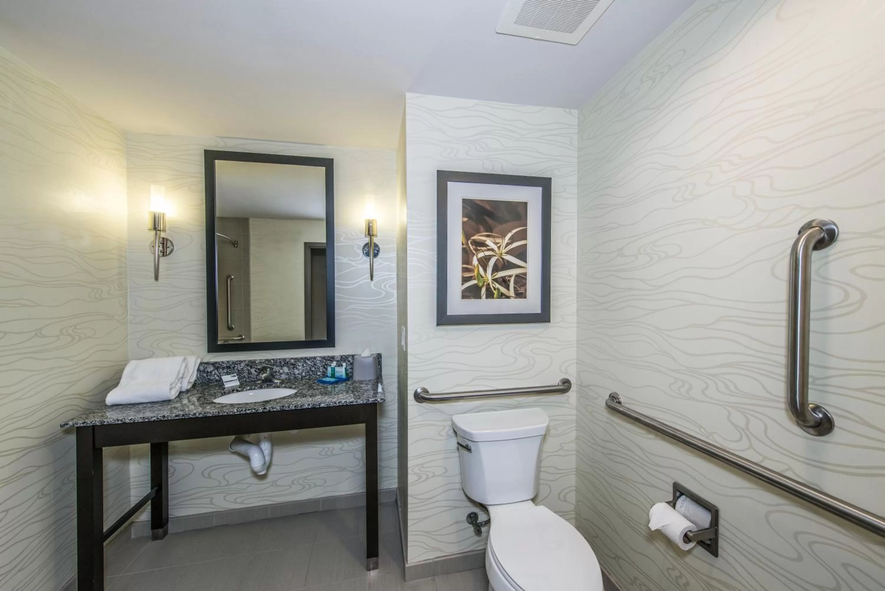 Standard King Room with Roll-In Shower - Communications Access in Holiday Inn Express & Suites Charleston Arpt-Conv Ctr Area by IHG