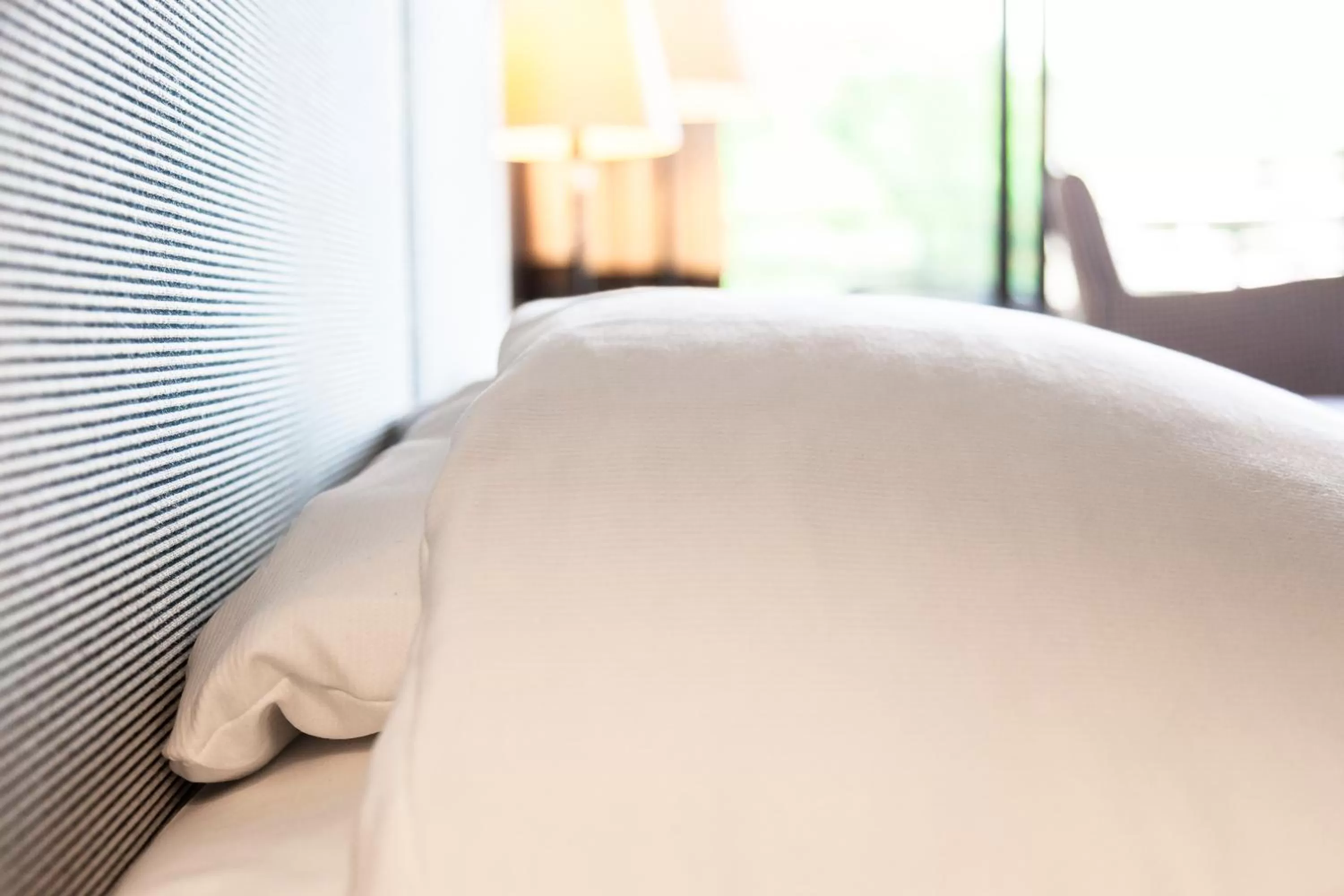 Double Room - Disability Access in Fletcher Hotel-Restaurant Frerikshof