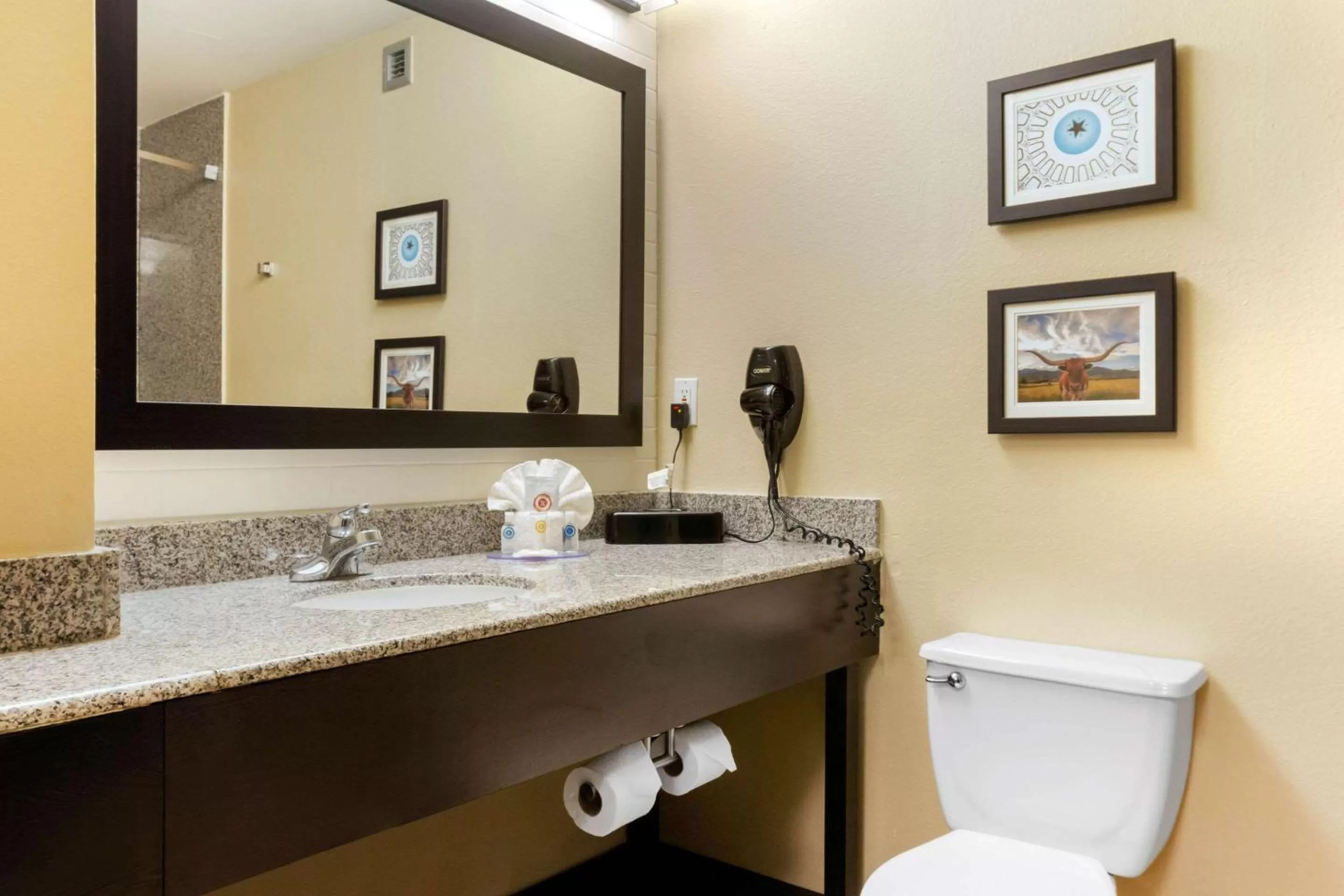 King Suite with Sofa Bed - Non-Smoking in Comfort Inn & Suites Amarillo East
