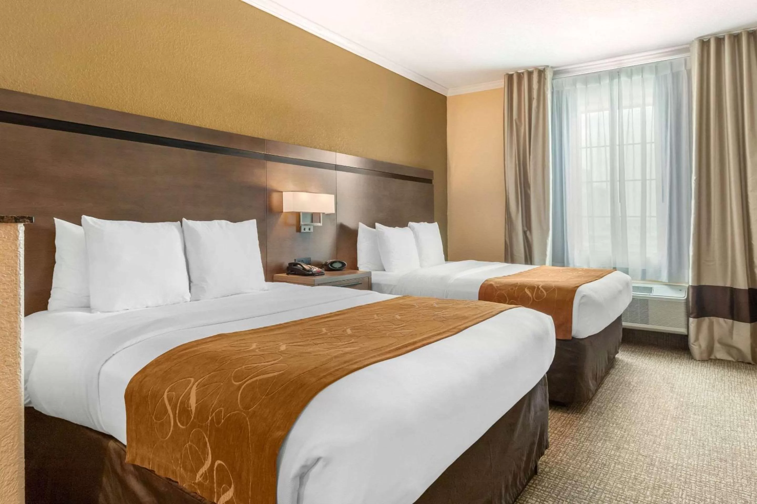 Queen Suite with Two Queen Beds - Non-Smoking in Comfort Suites Baytown I - 10