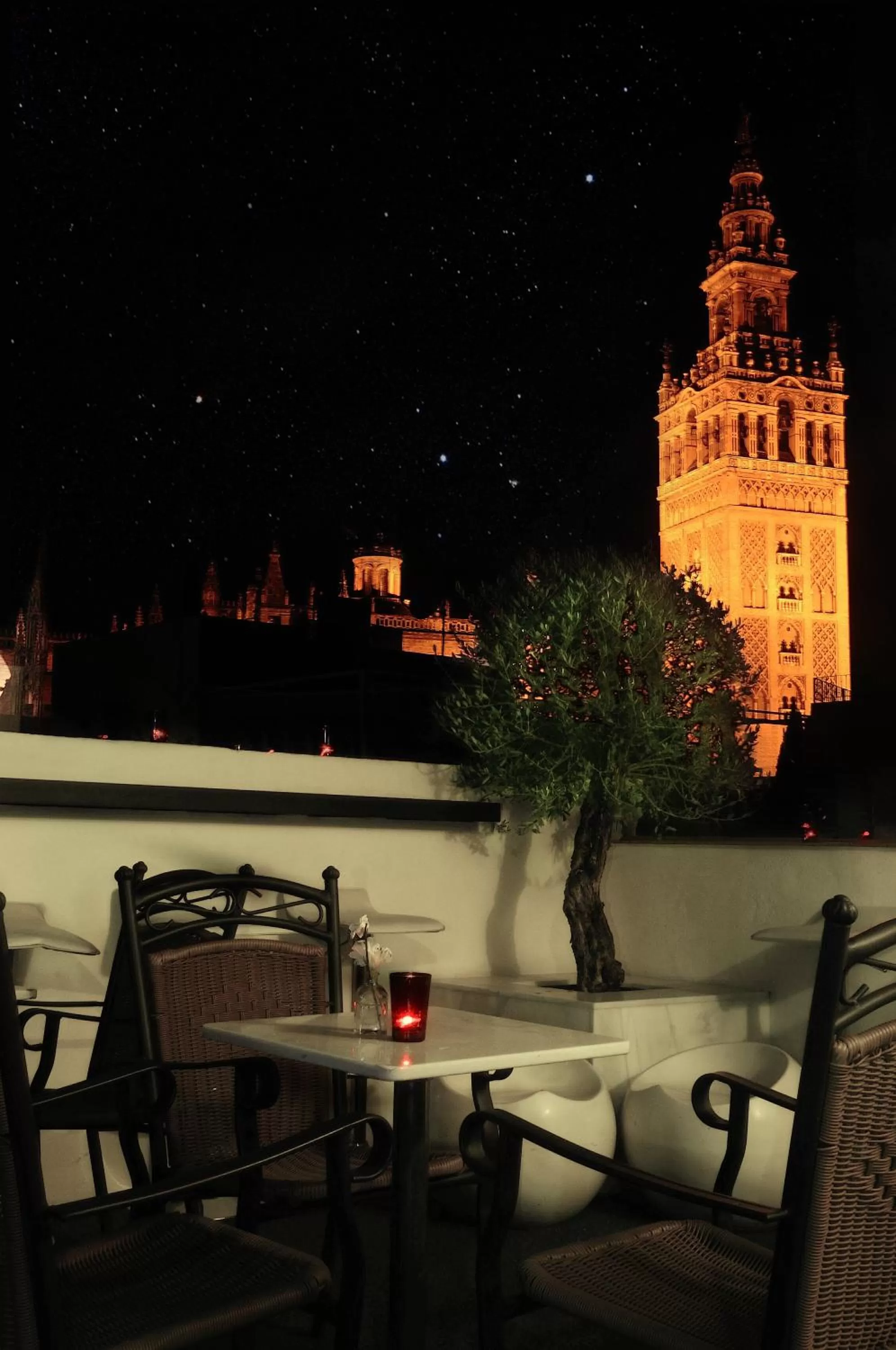 Hotel Palacio Alcázar