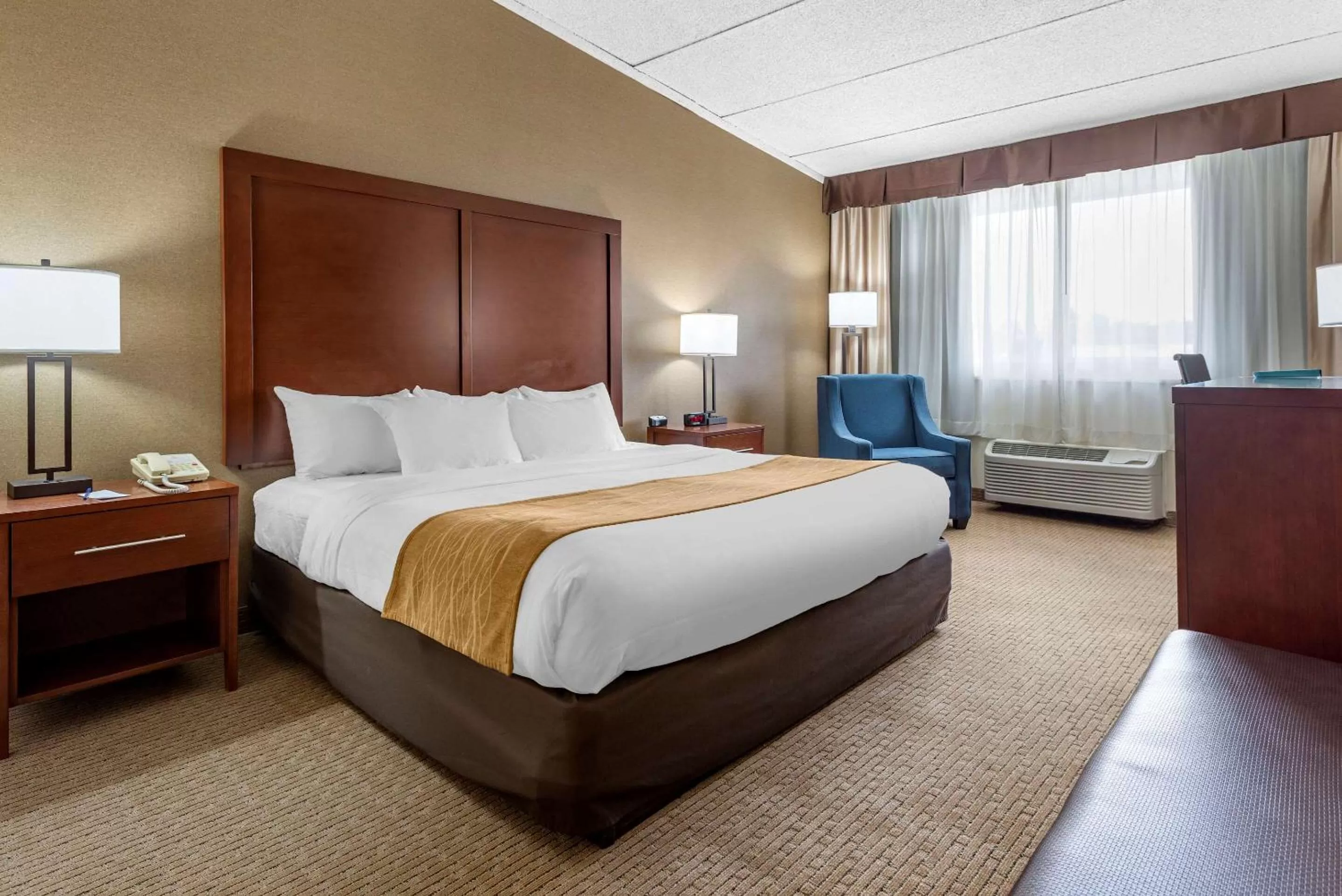 King Room with Roll-In Shower - Accessible/Non-Smoking in Comfort Inn Lancaster County North