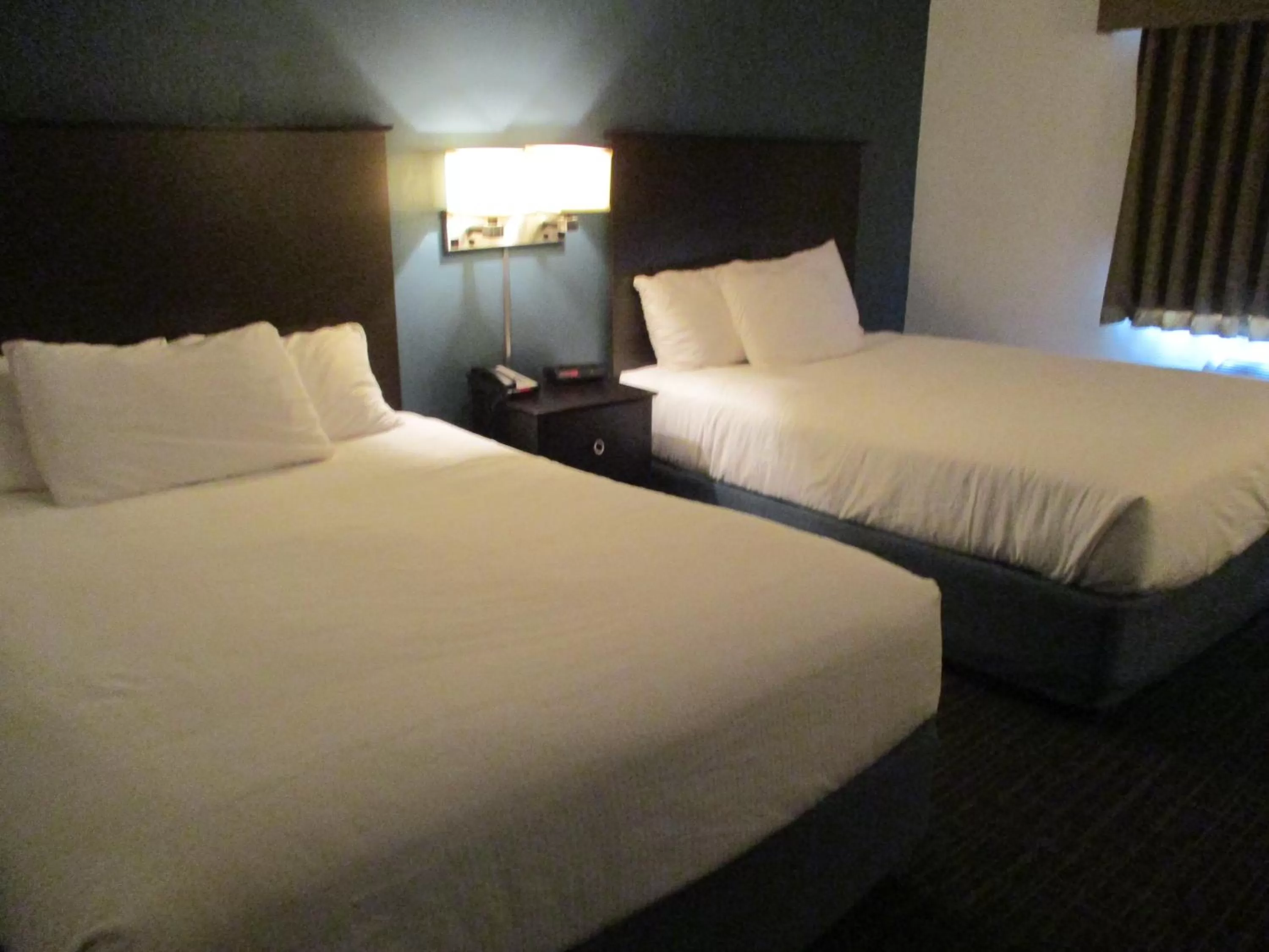 Queen Room with Two Queen Beds - Non-Smoking in AmericInn by Wyndham Hayward