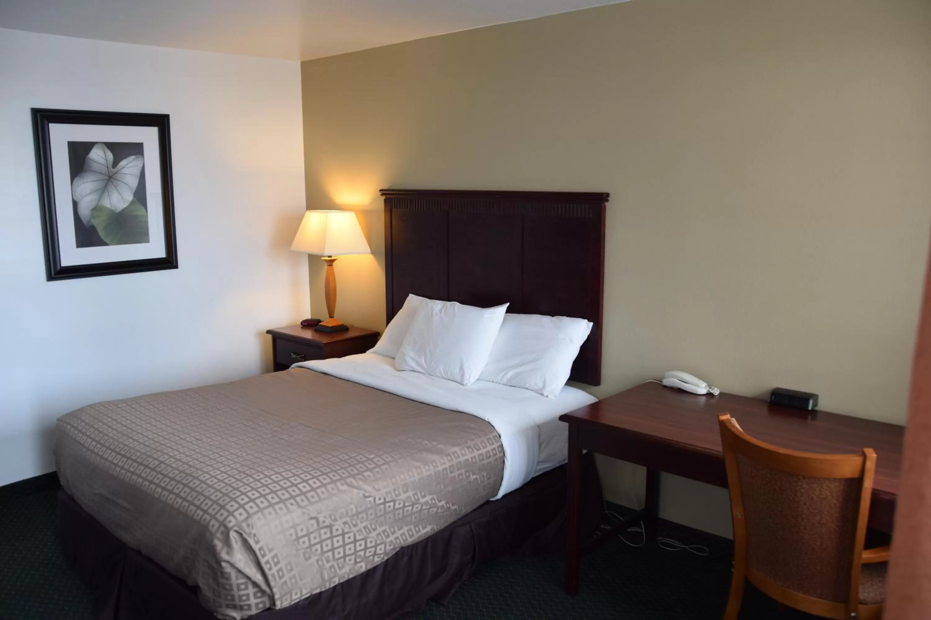 Queen Room - Smoking in National 9 Mount Nebo