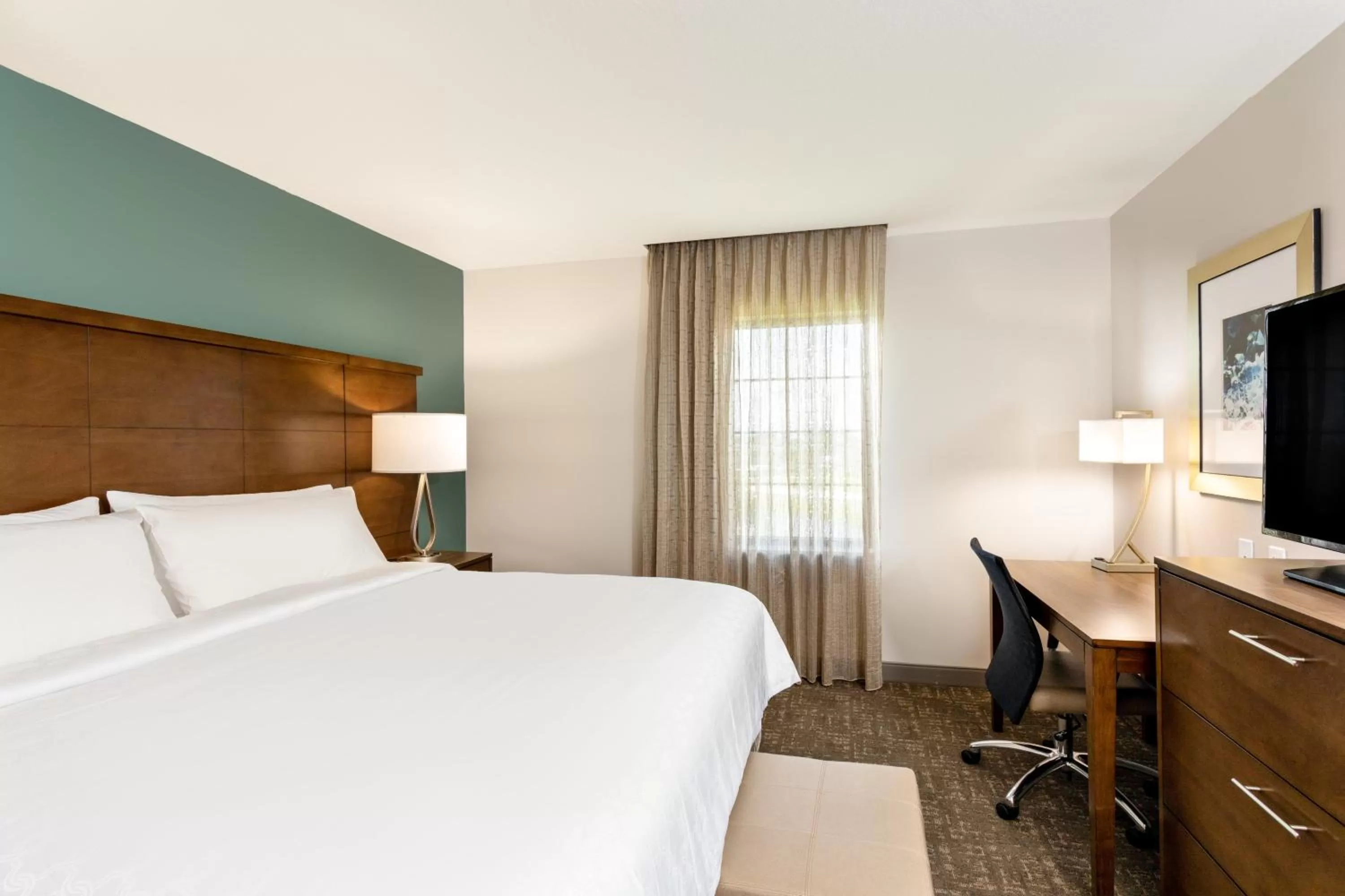 Queen Suite - Non-Smoking in Staybridge Suites - Fort Lauderdale Airport - West by IHG